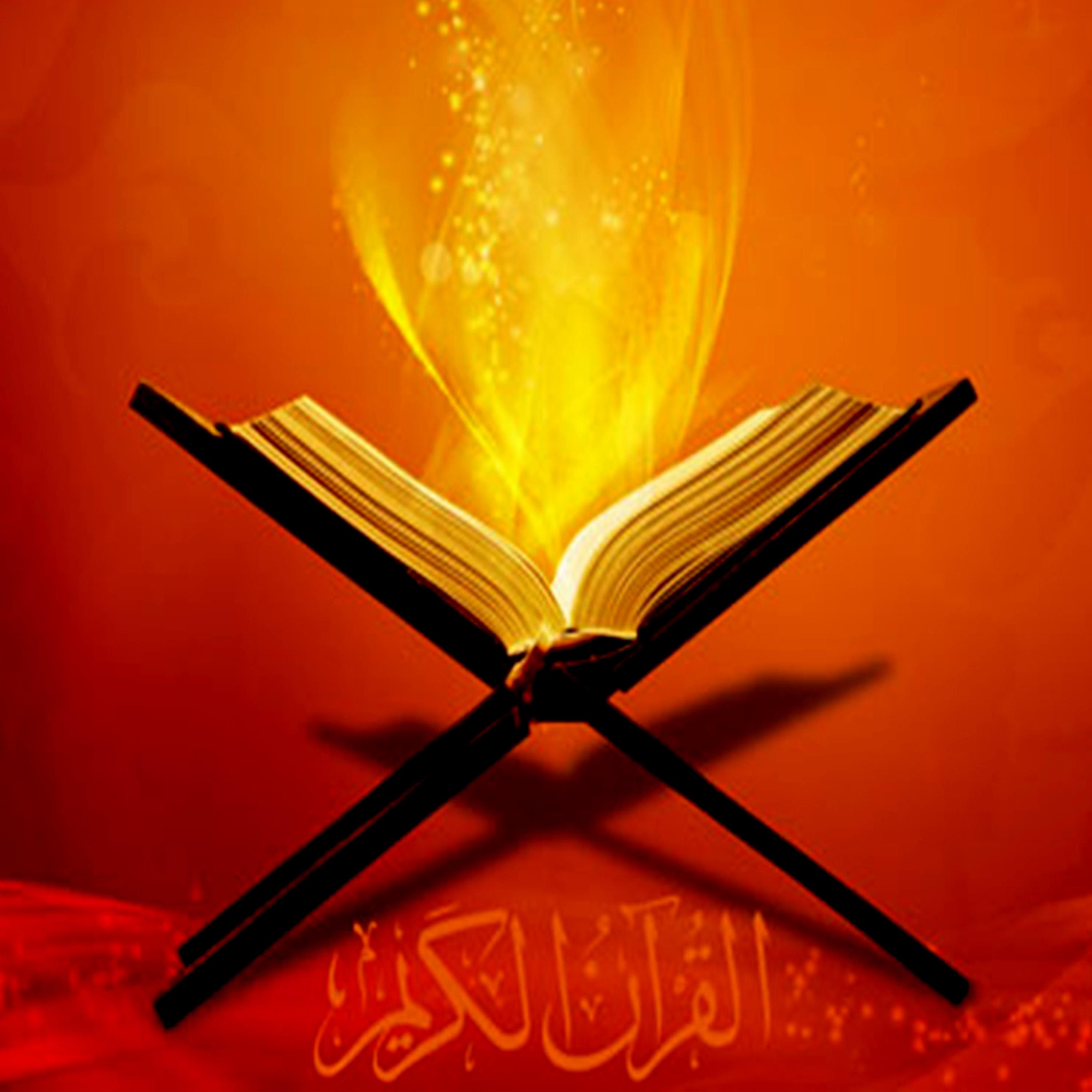 Постер альбома The Holy Quran - Le Saint Coran, Vol 8