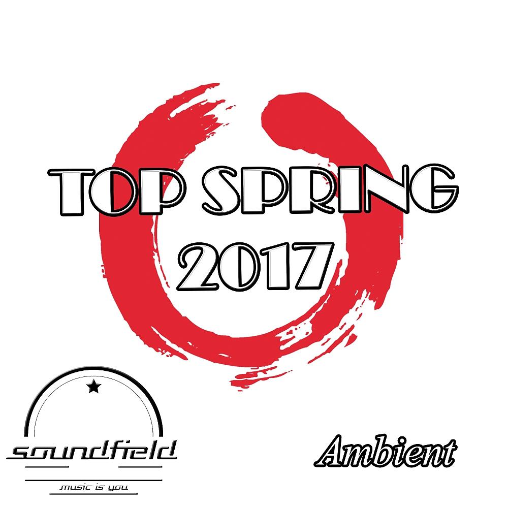 Постер альбома Ambient Top Spring 2017