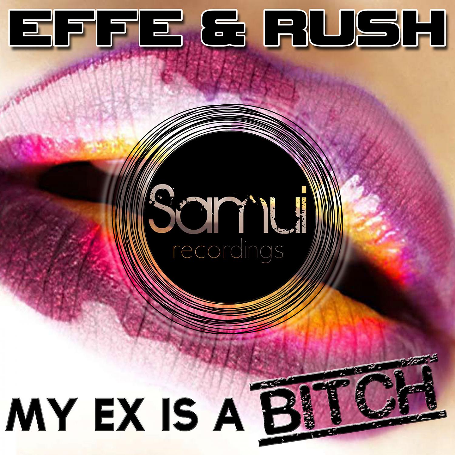 Постер альбома My Ex is A Bitch