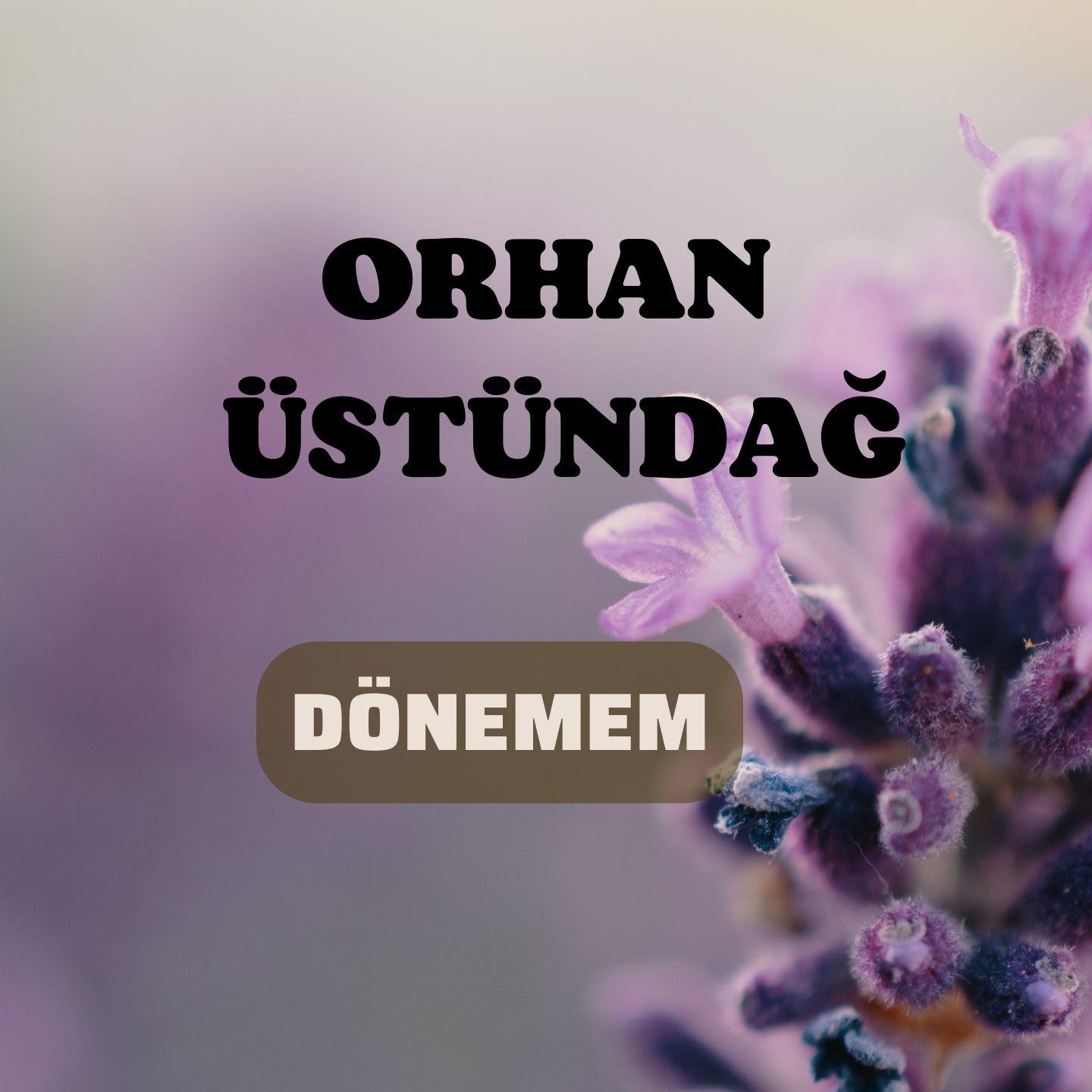 Постер альбома Dönemem