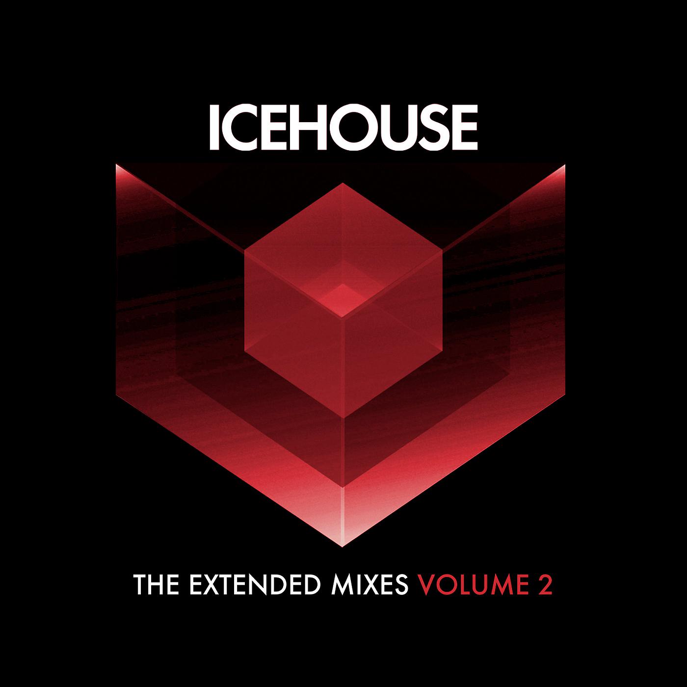 Постер альбома The Extended Mixes Vol. 2
