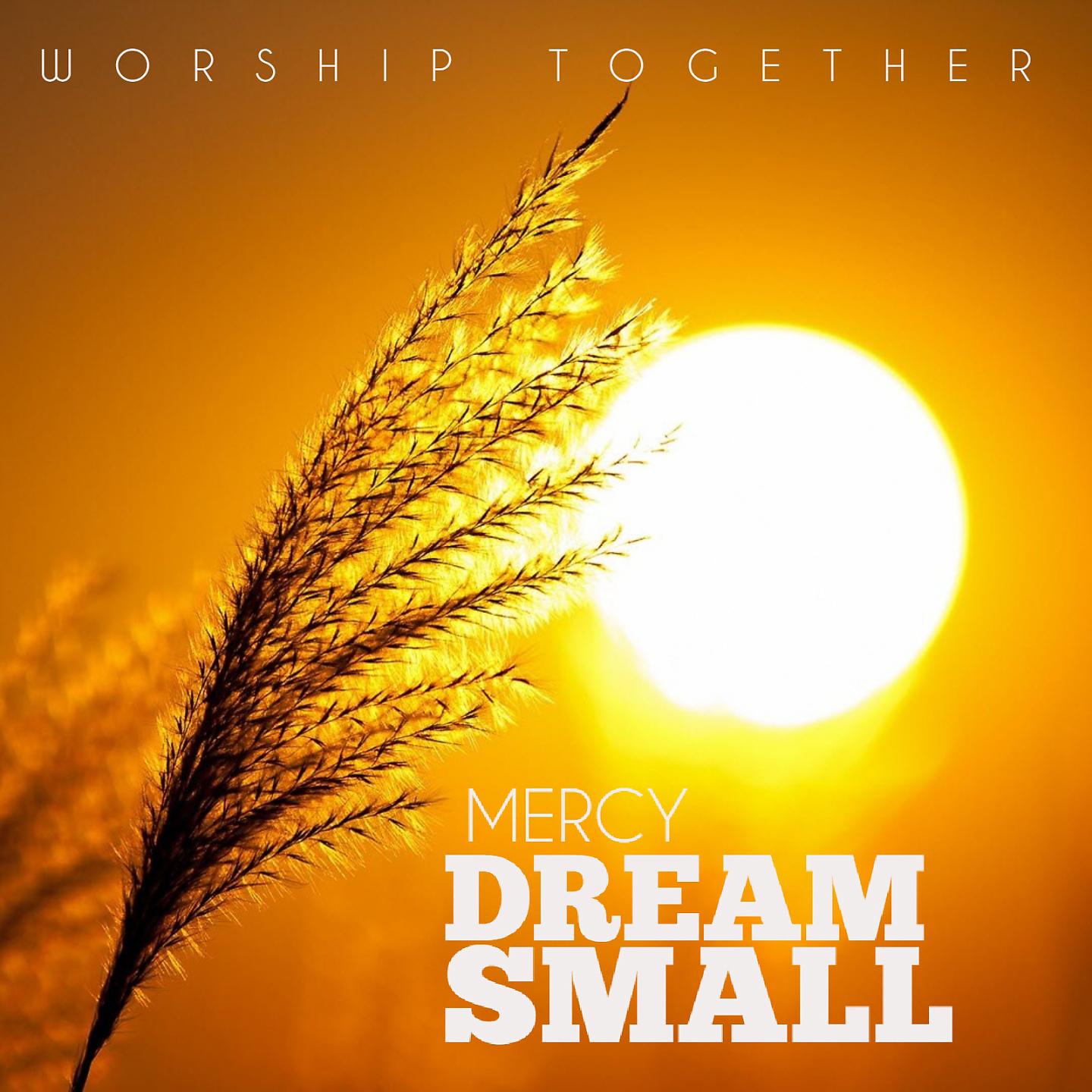 Постер альбома Dream Small