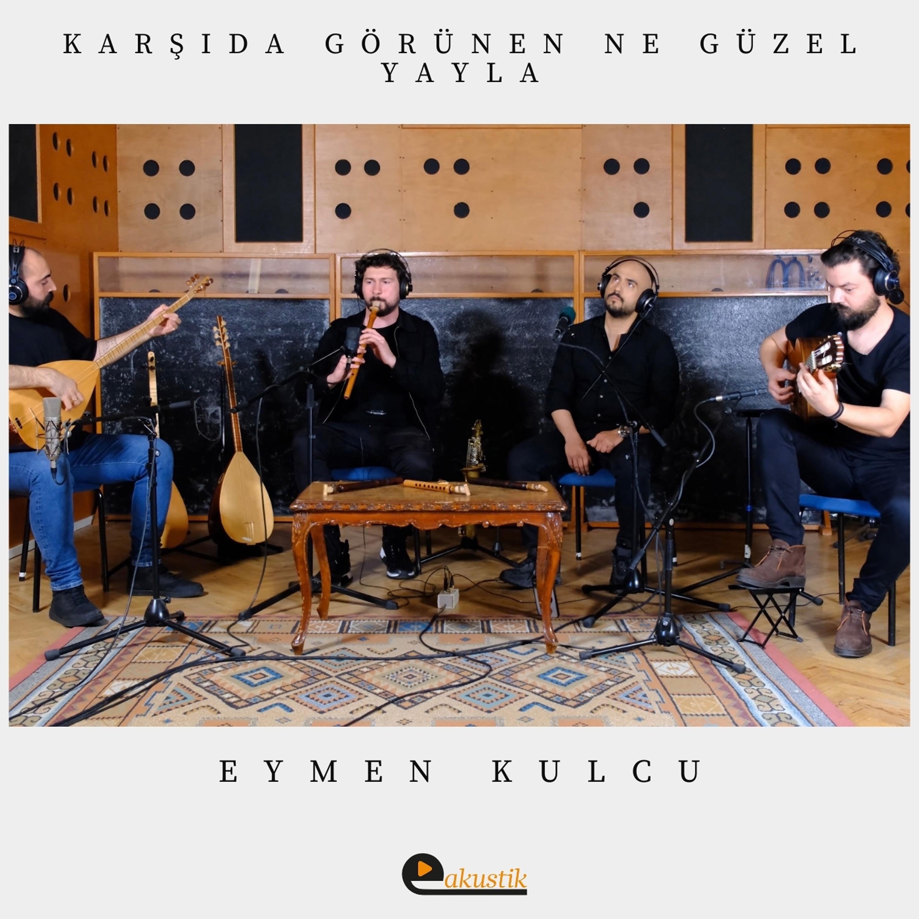 Постер альбома Karşıda Görünen Ne Güzel Yayla