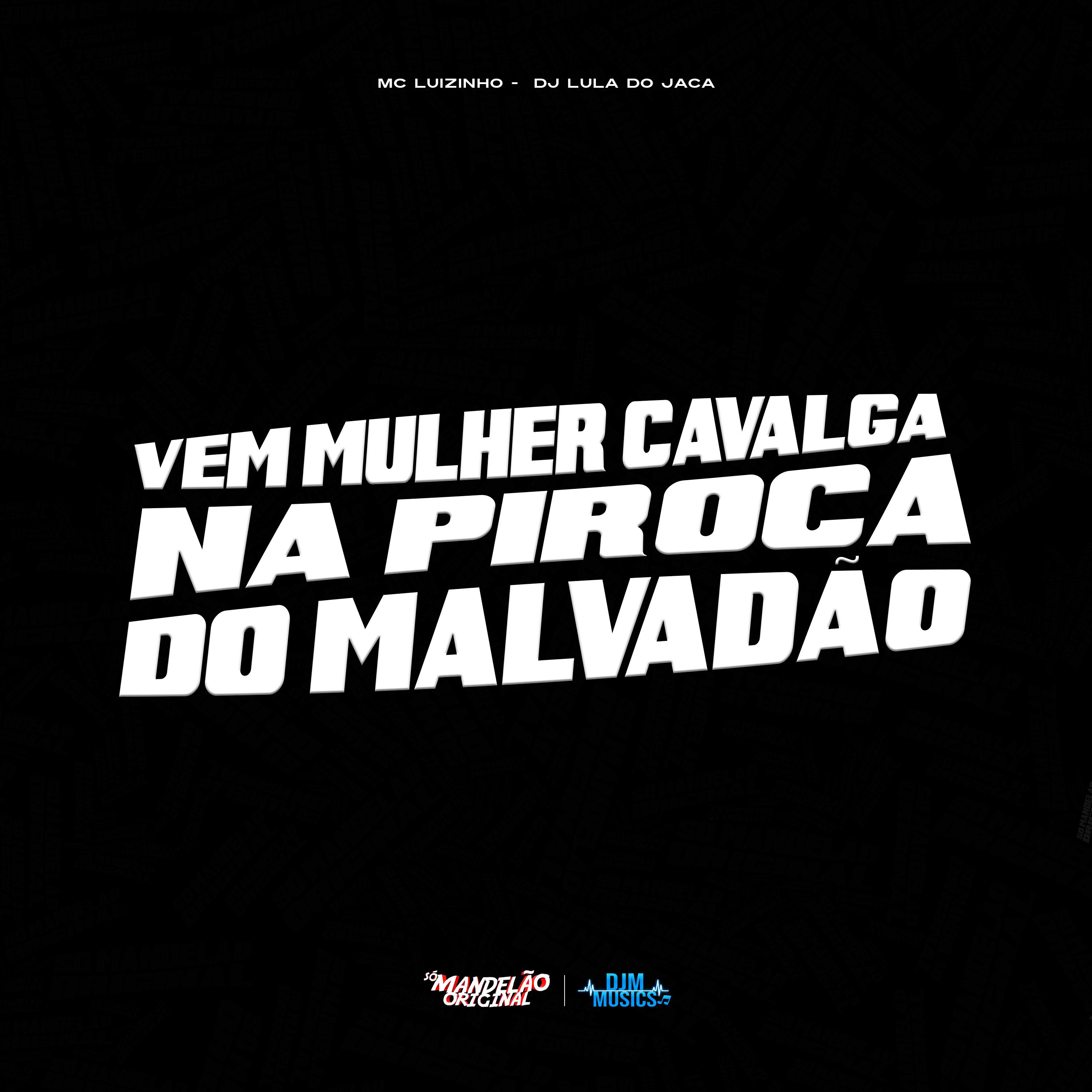 Постер альбома Vem Mulher Cavalga na Piroca do Malvadão