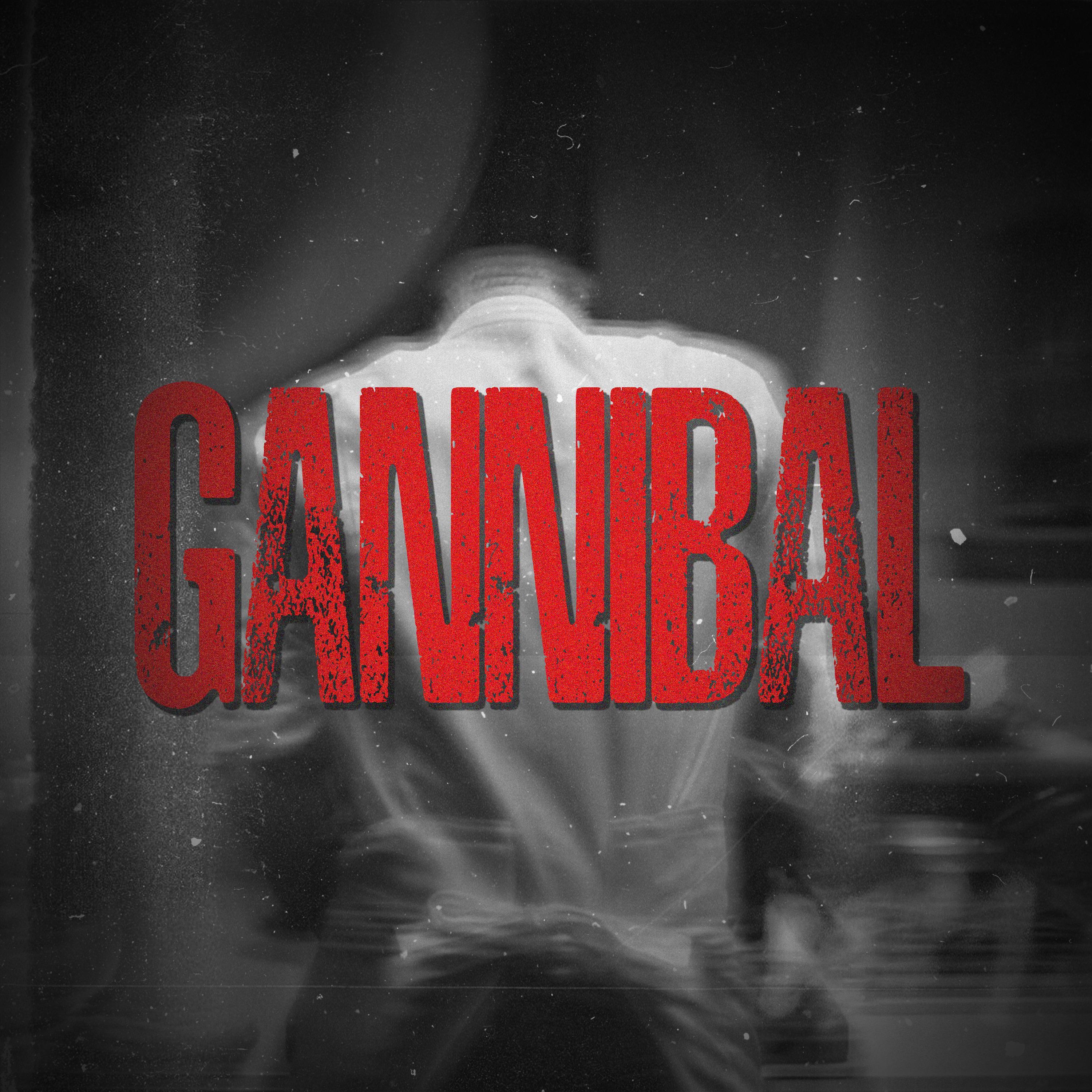 Постер альбома Gannibal