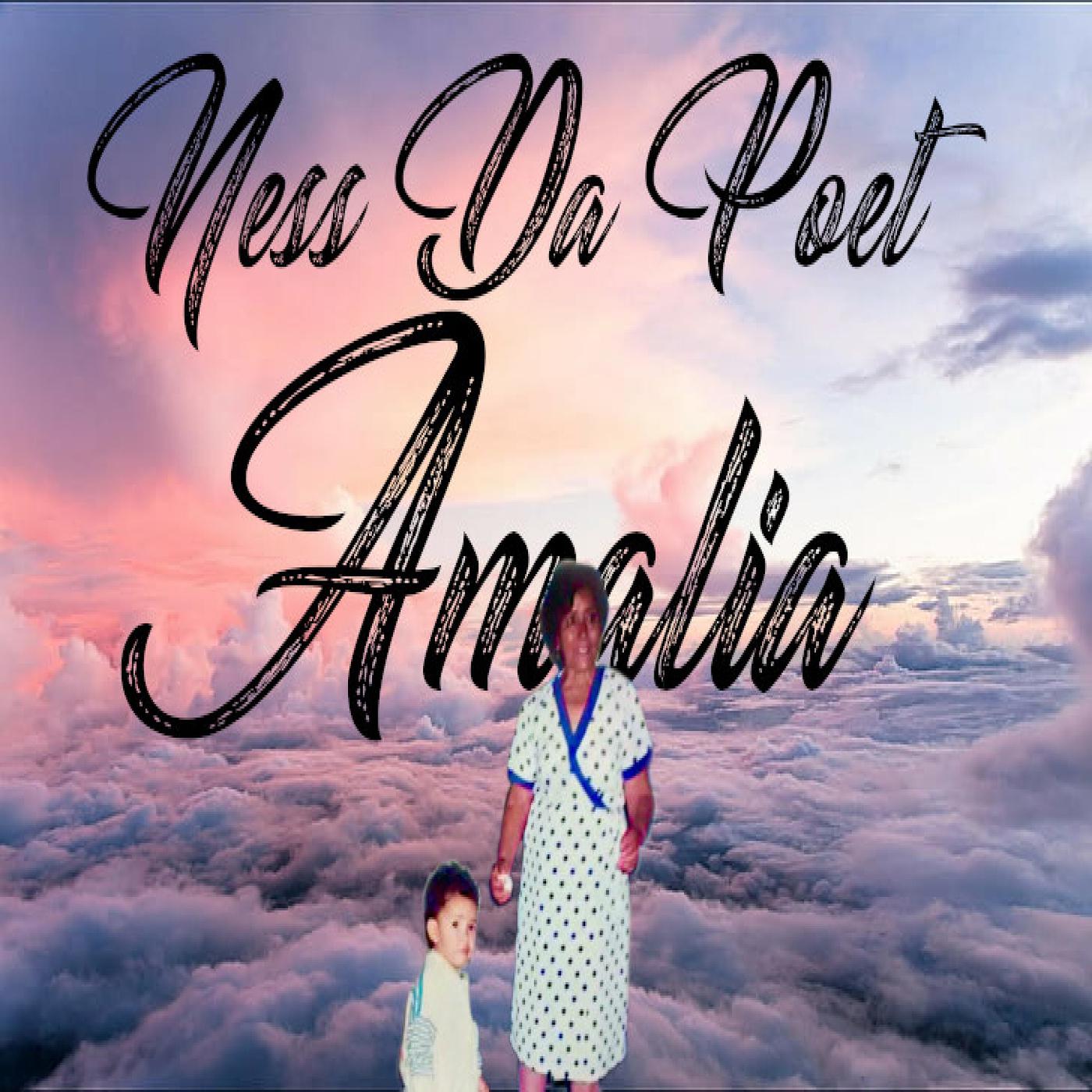 Постер альбома Amalia