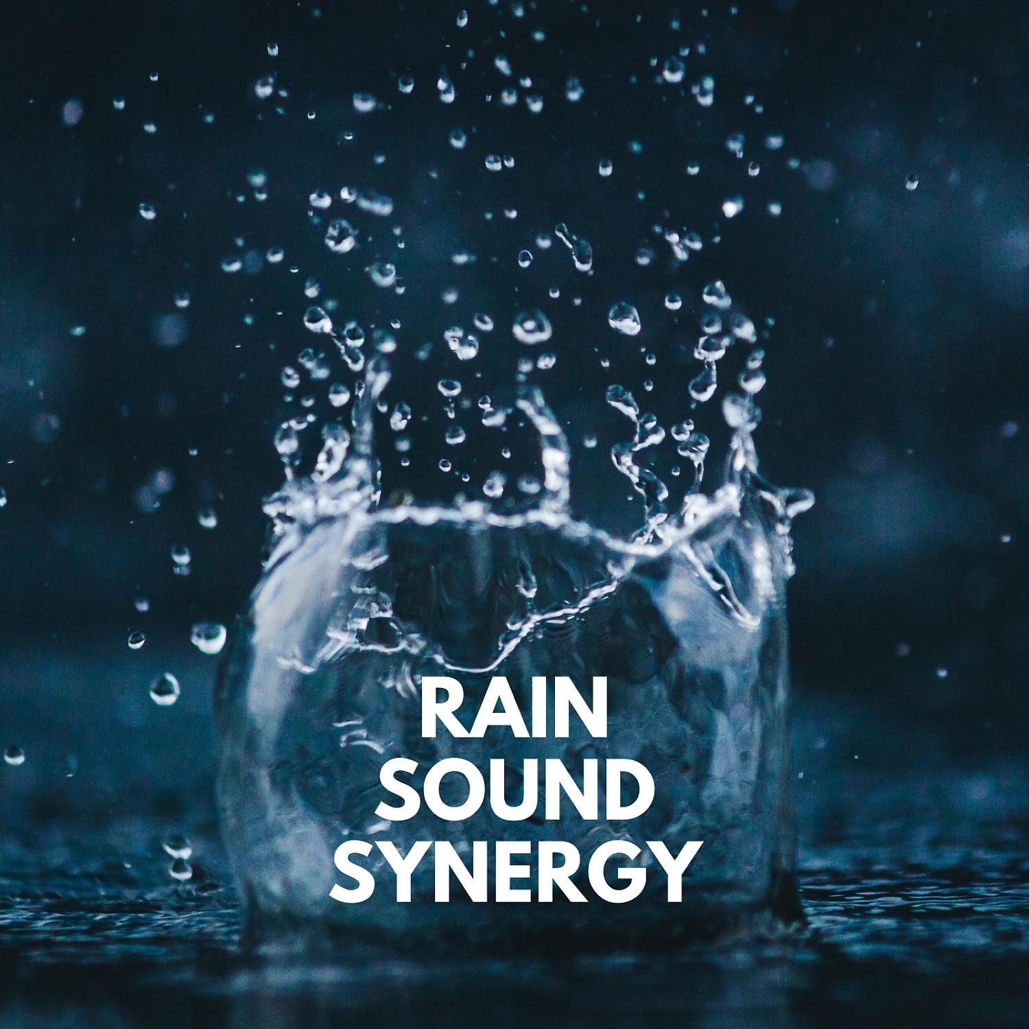 Постер альбома Rain Sound Synergy