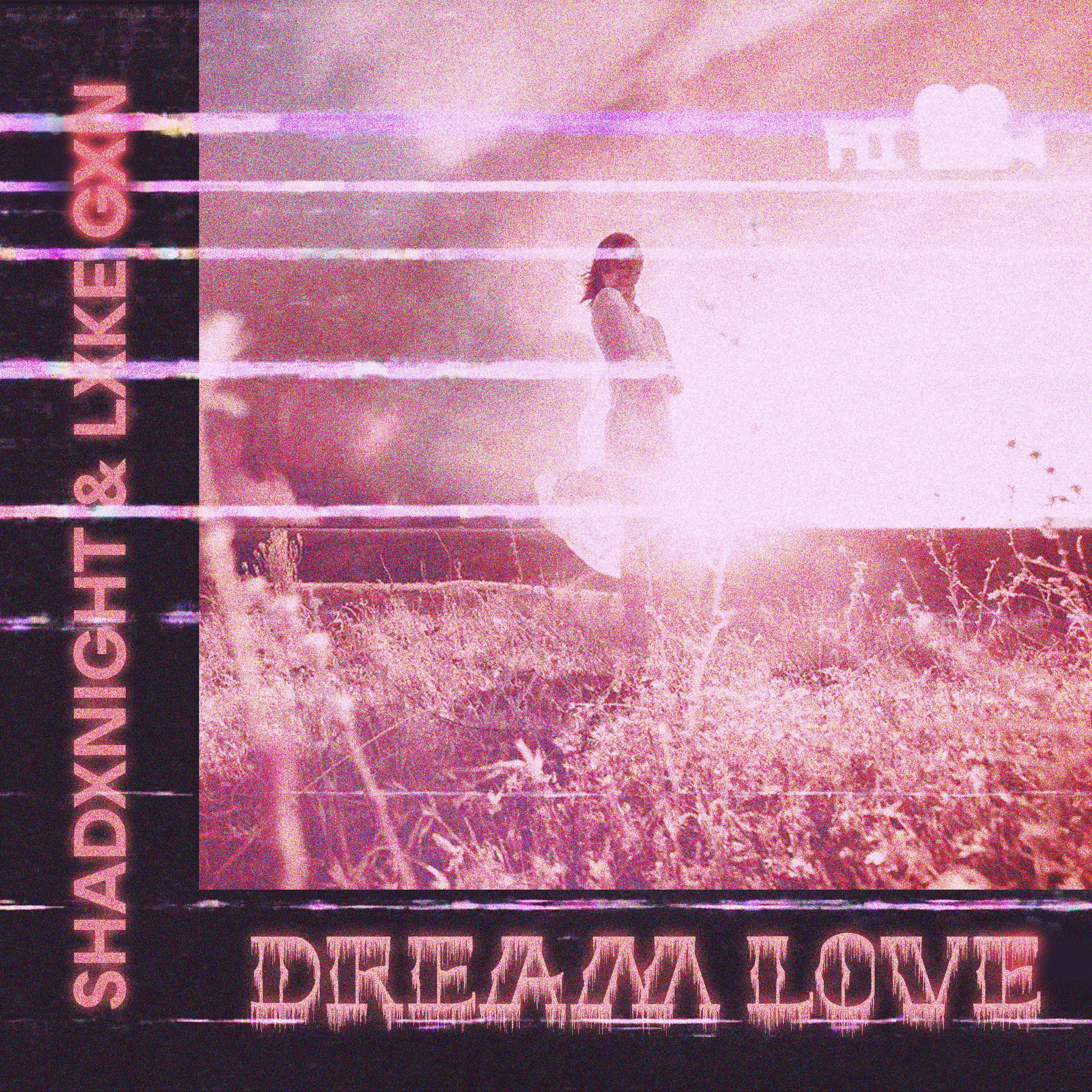 Постер альбома Dream Love (Speed Up)