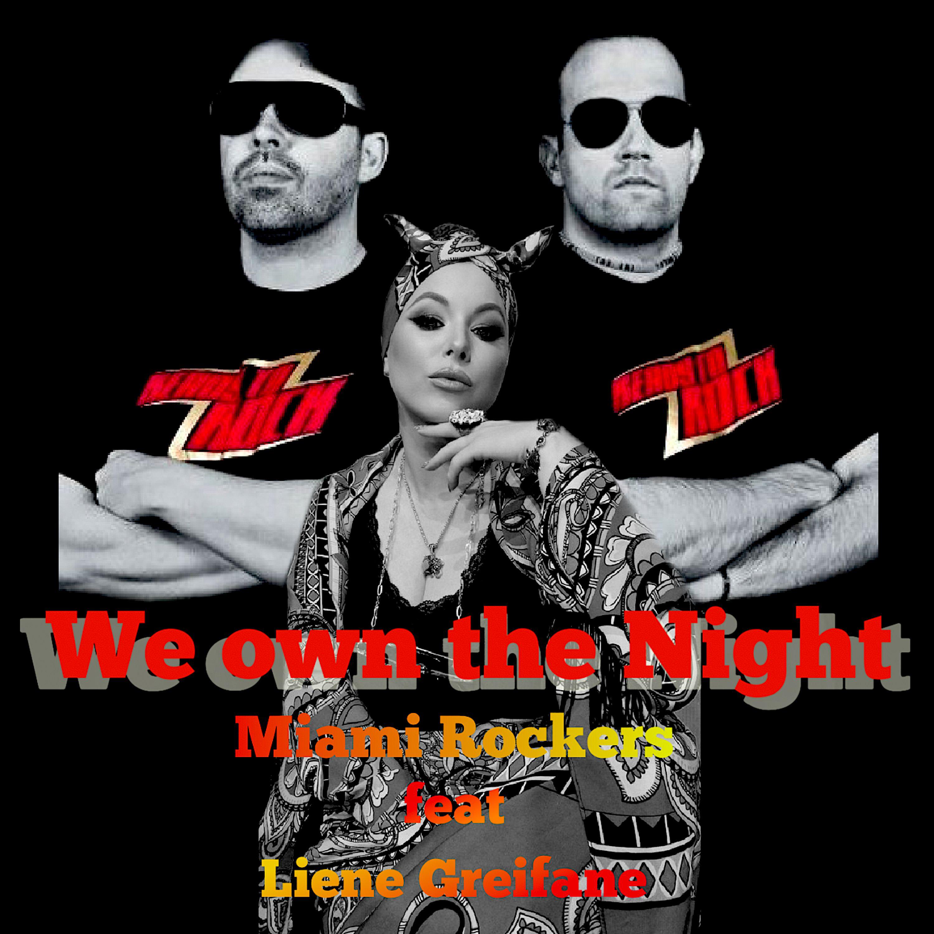 Постер альбома We own the Night