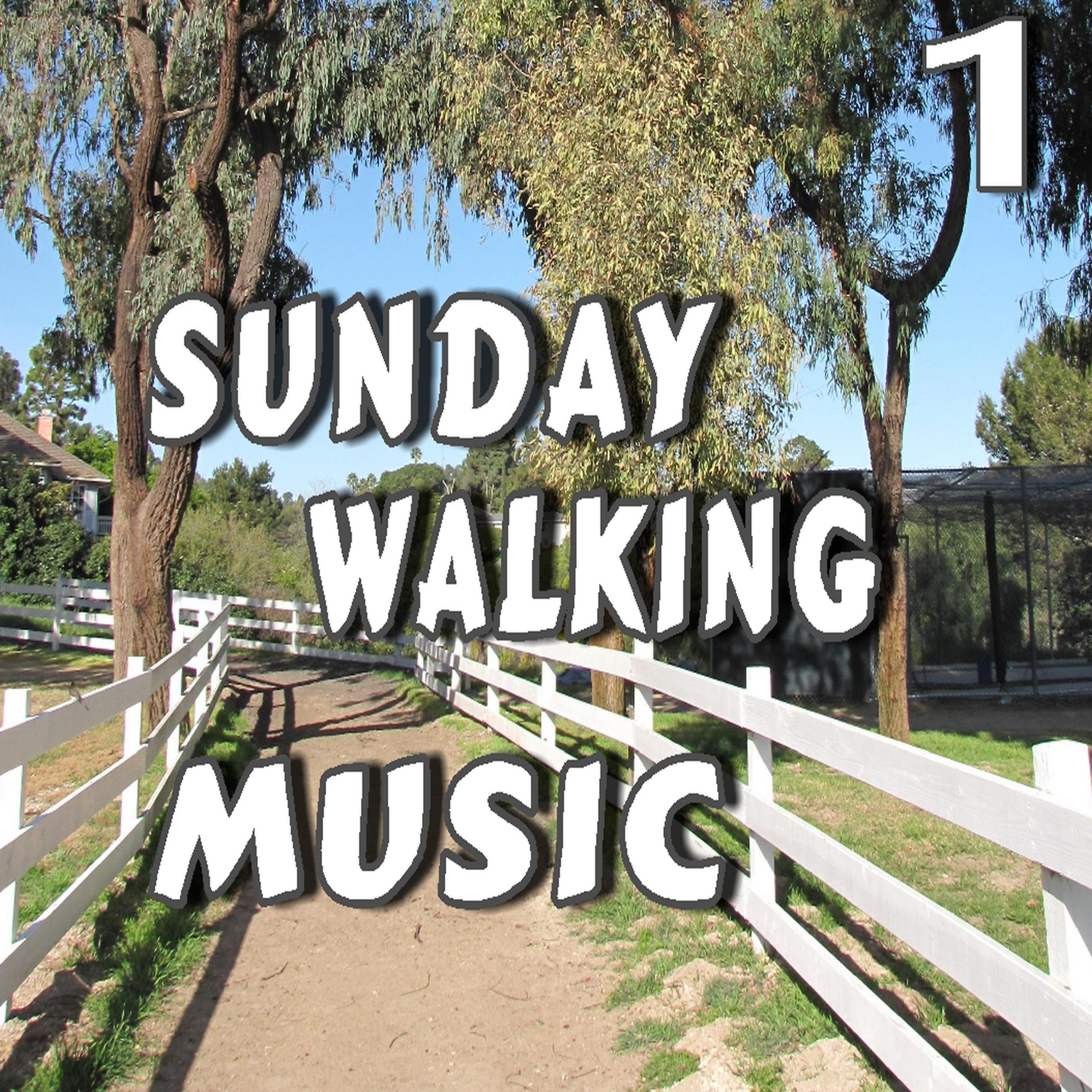 Постер альбома Sunday Walking Music, Vol. 1 (Instrumental)