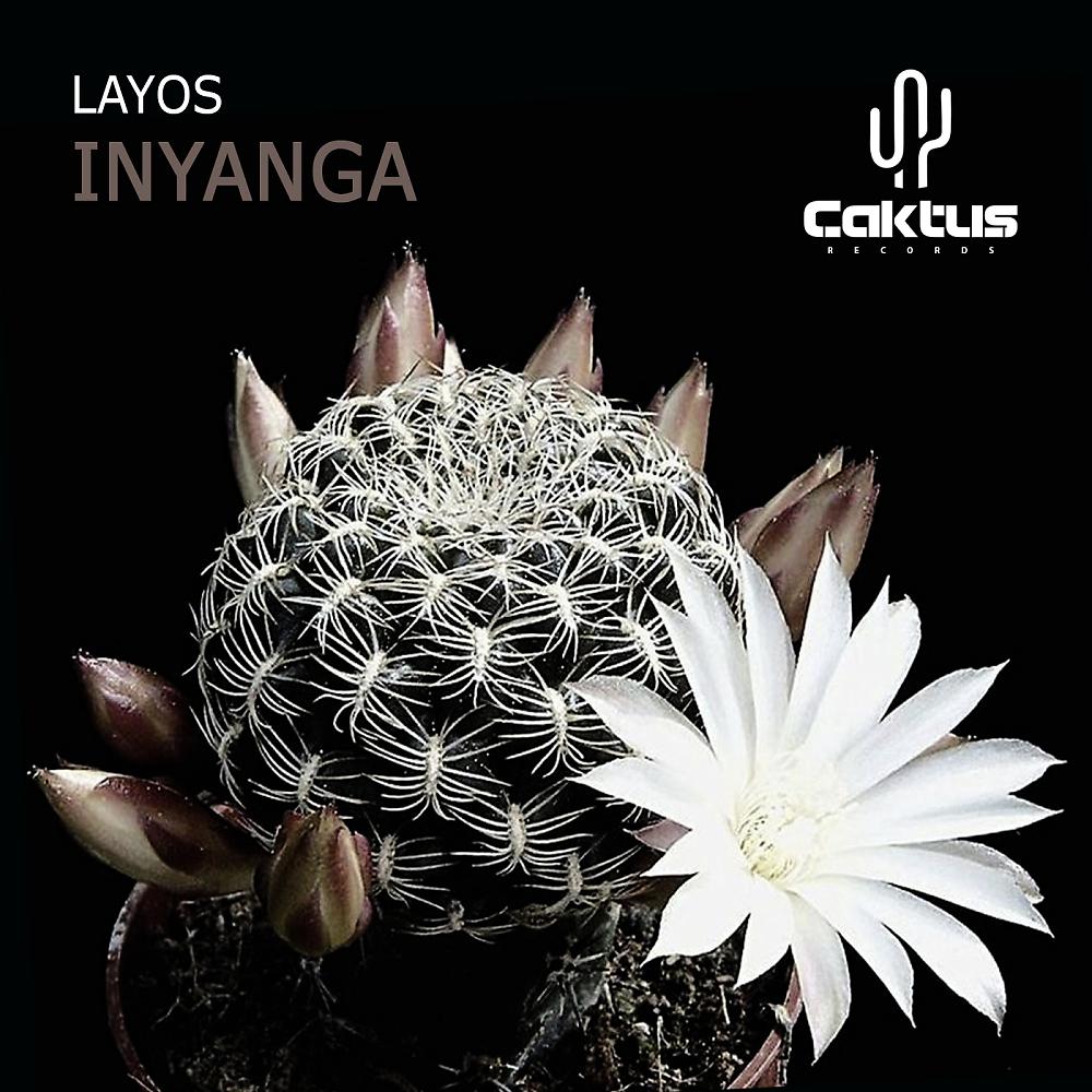 Постер альбома Inyanga