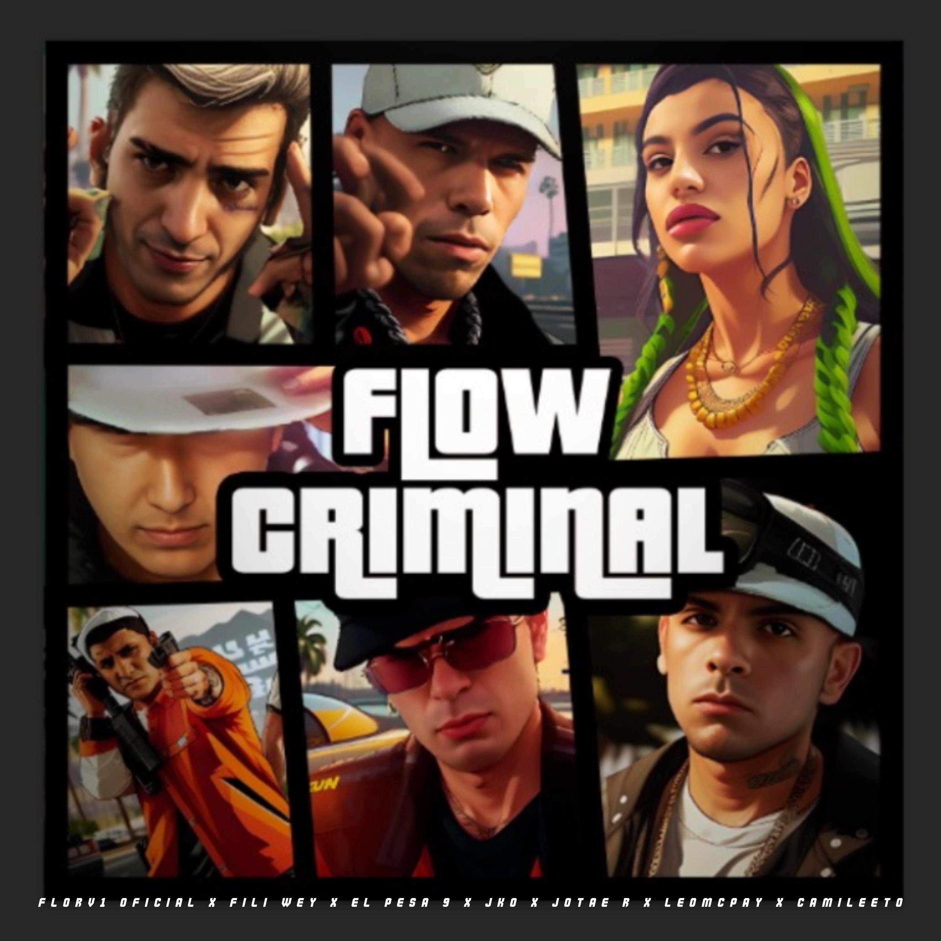 Постер альбома Flow Criminal