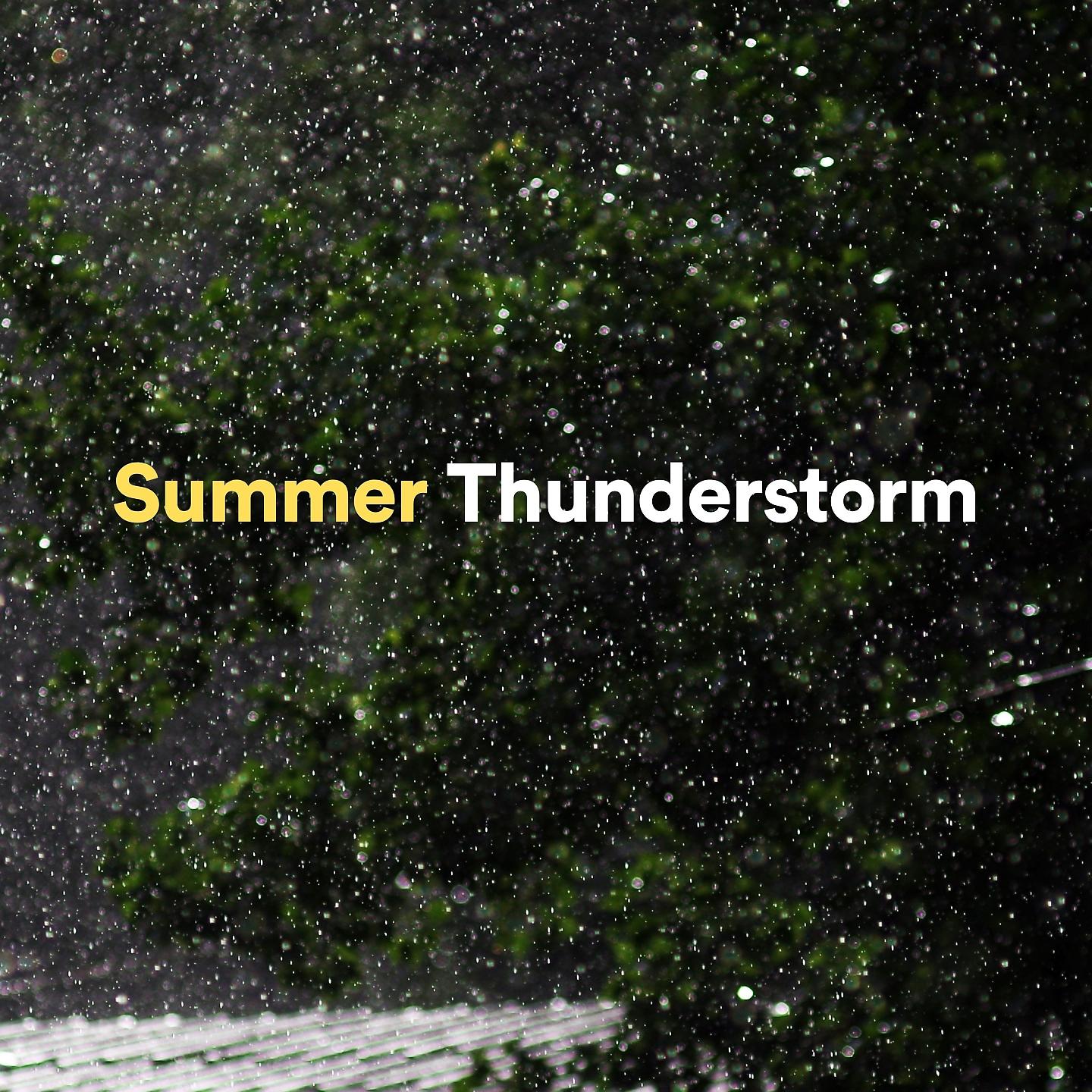 Постер альбома Summer Thunderstorm