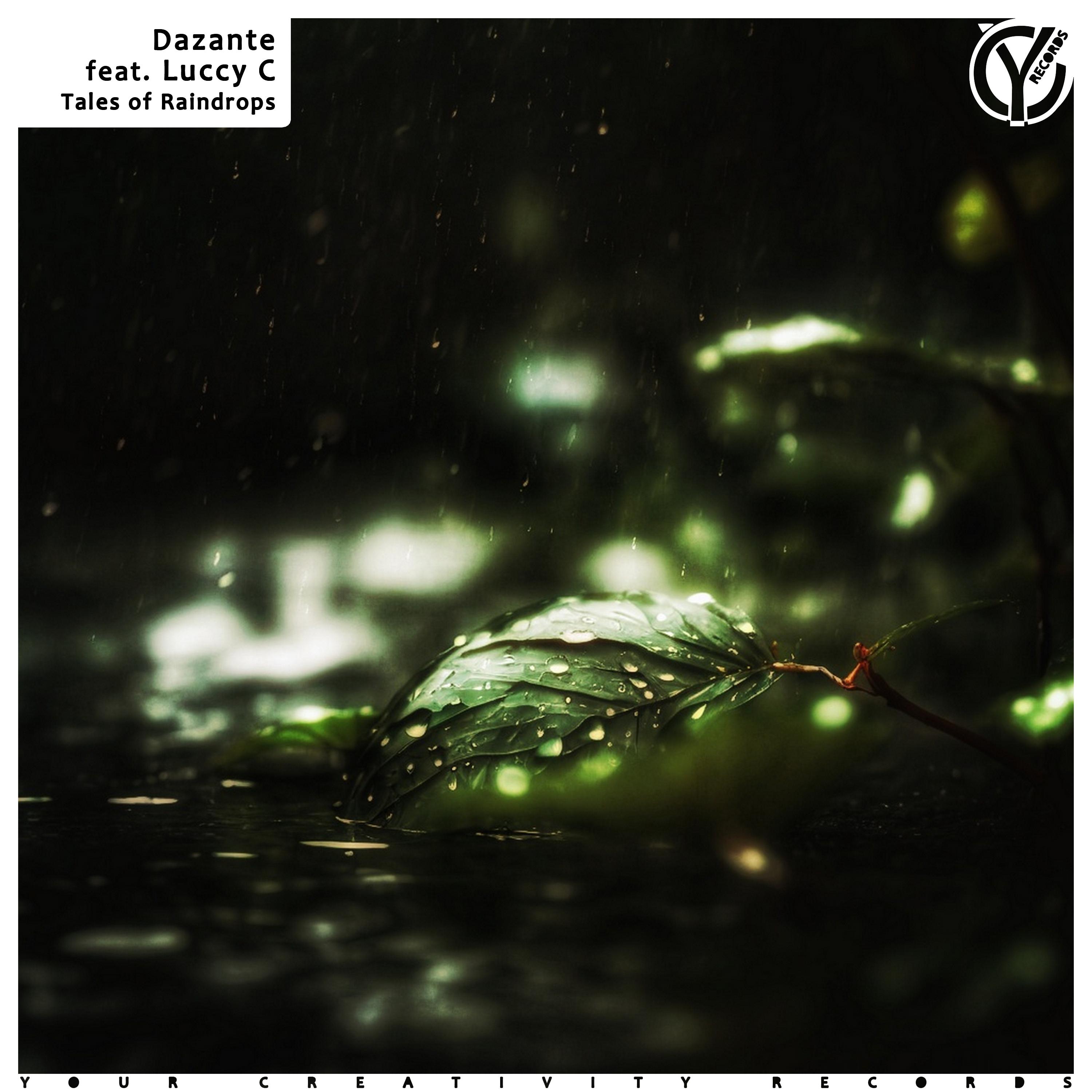Постер альбома Tales of Raindrops (Original Mix)