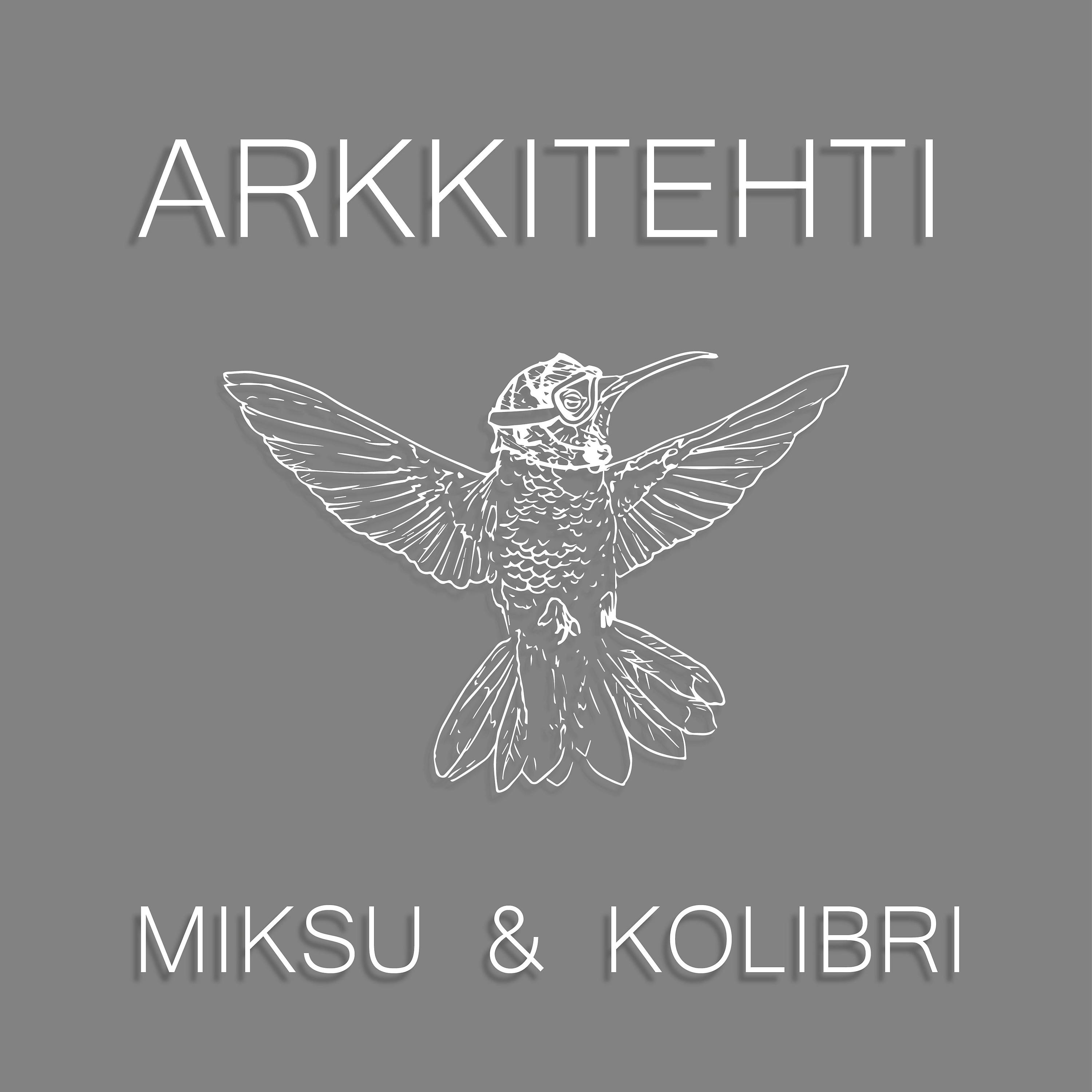 Постер альбома Arkkitehti