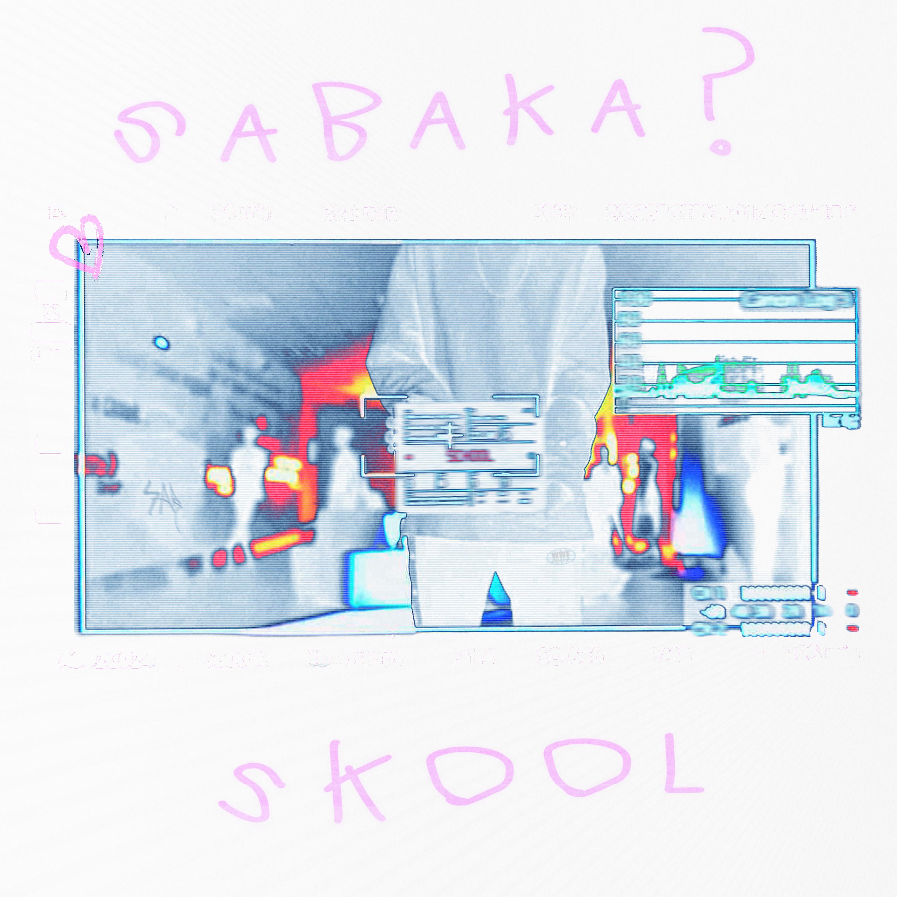 Постер альбома Skool