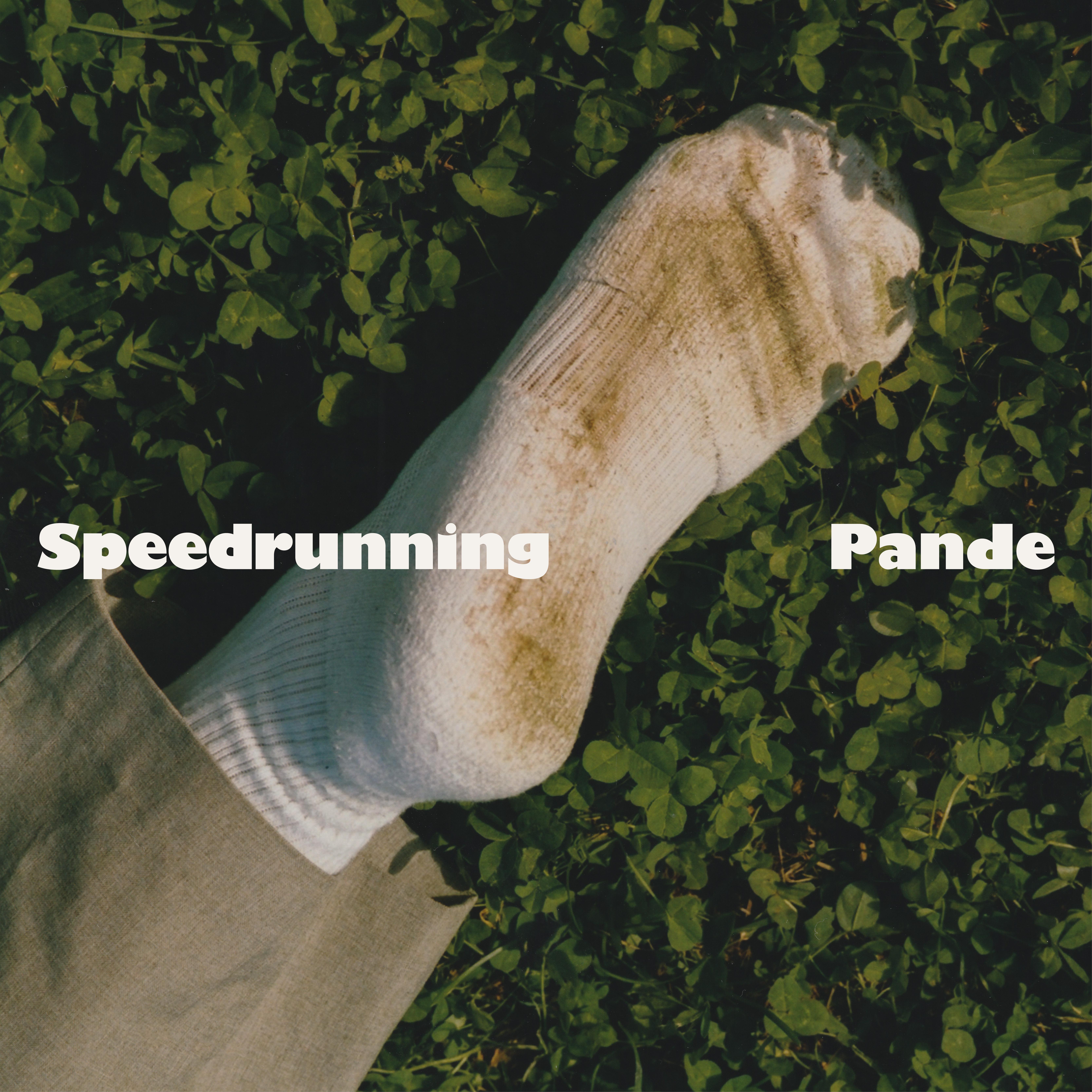 Постер альбома Speedrunning