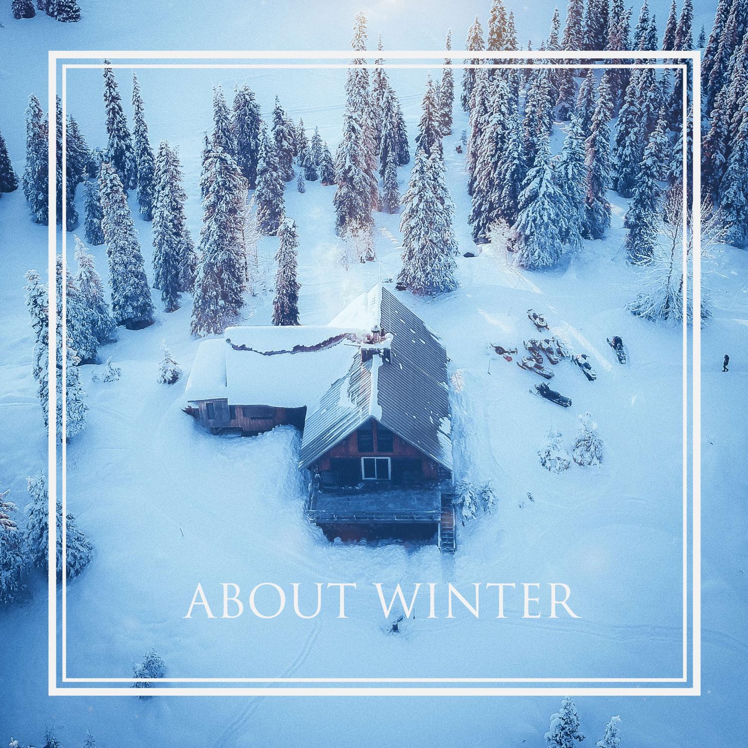 Постер альбома about winter