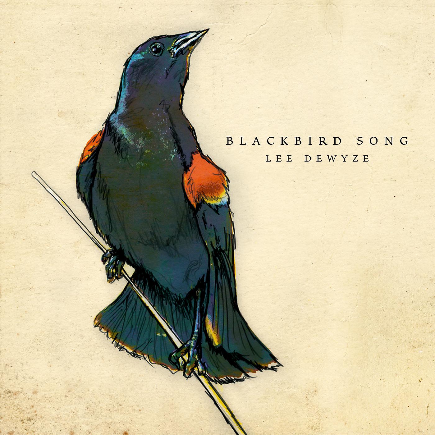 Постер альбома Blackbird Song