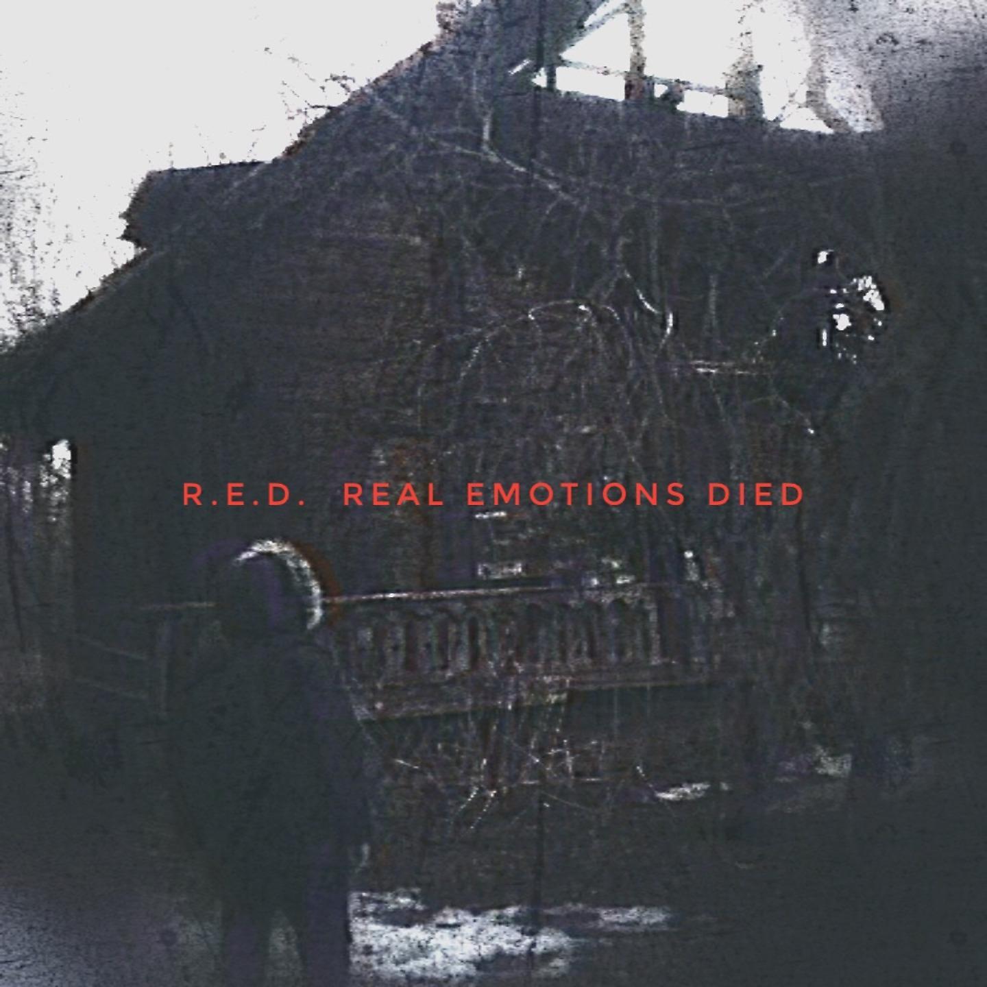 Постер альбома R.E.D.