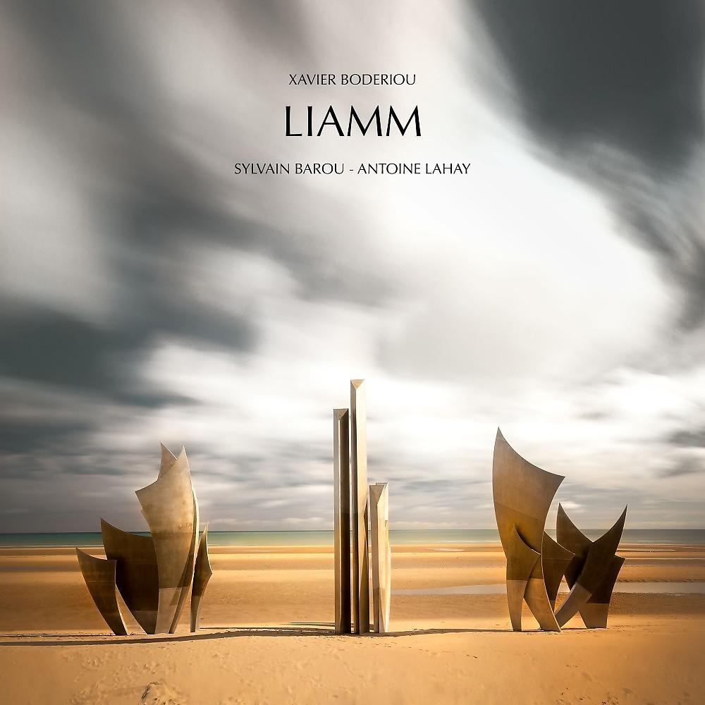 Постер альбома Liamm