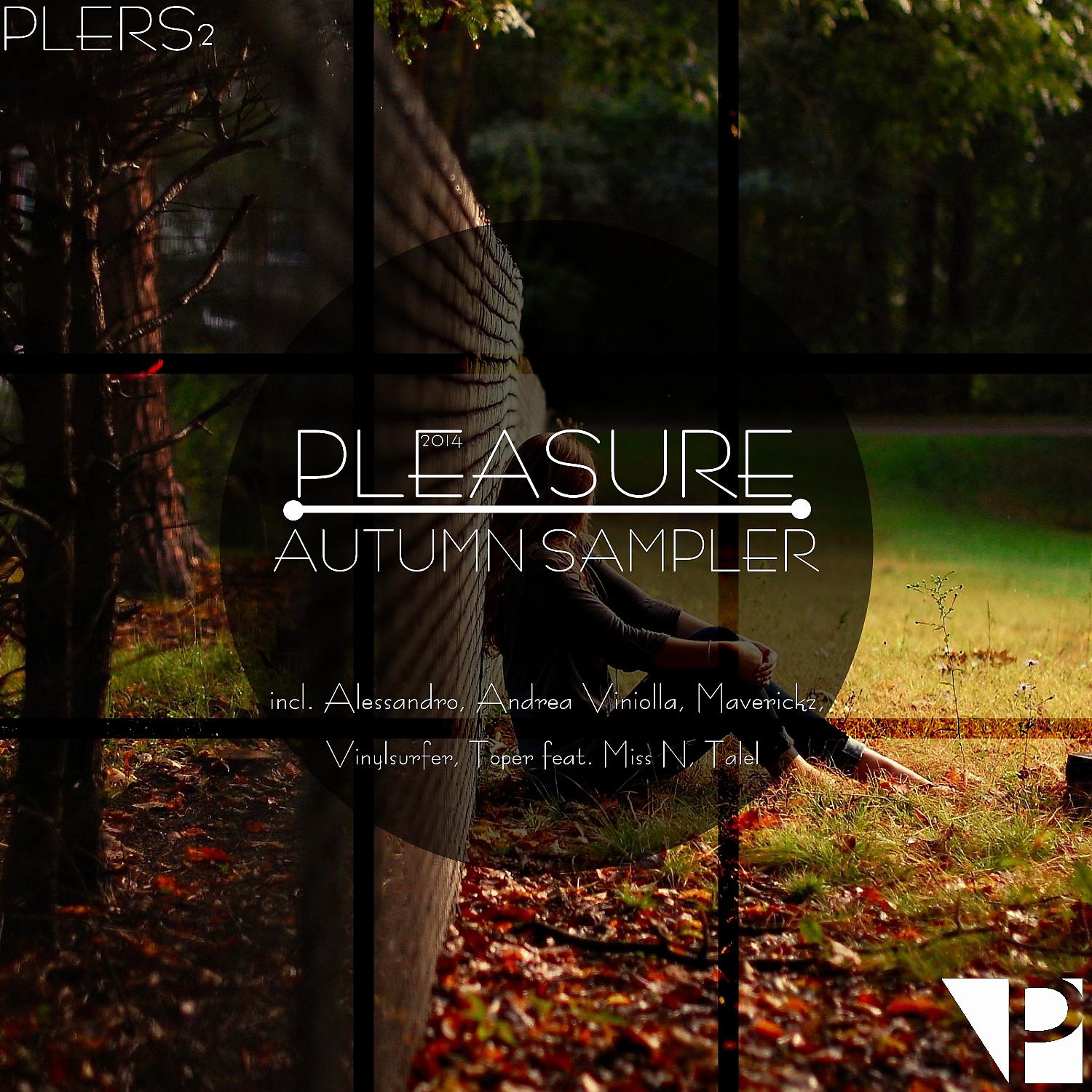 Постер альбома Pleasure Autumn Sampler 2014