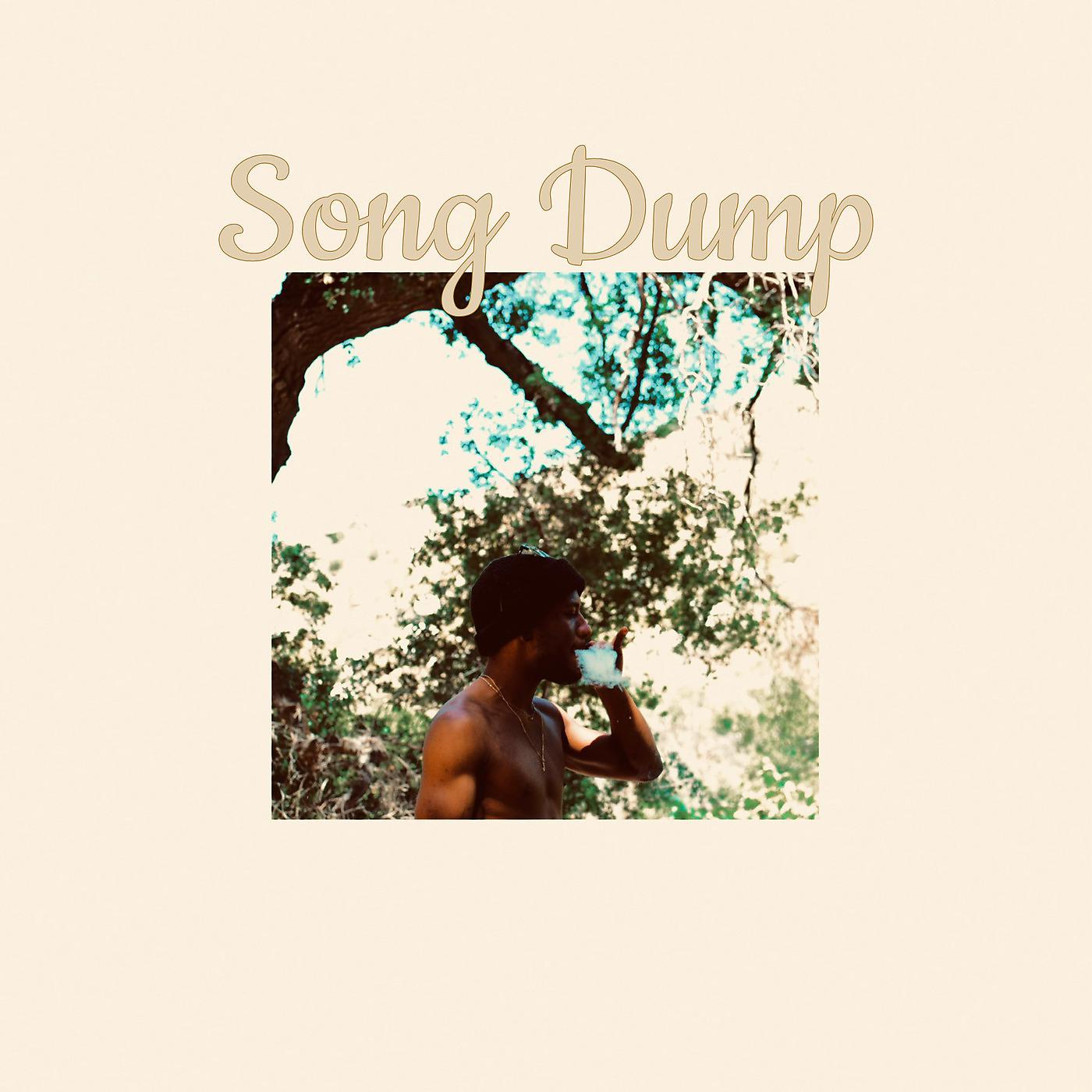 Постер альбома Song Dump