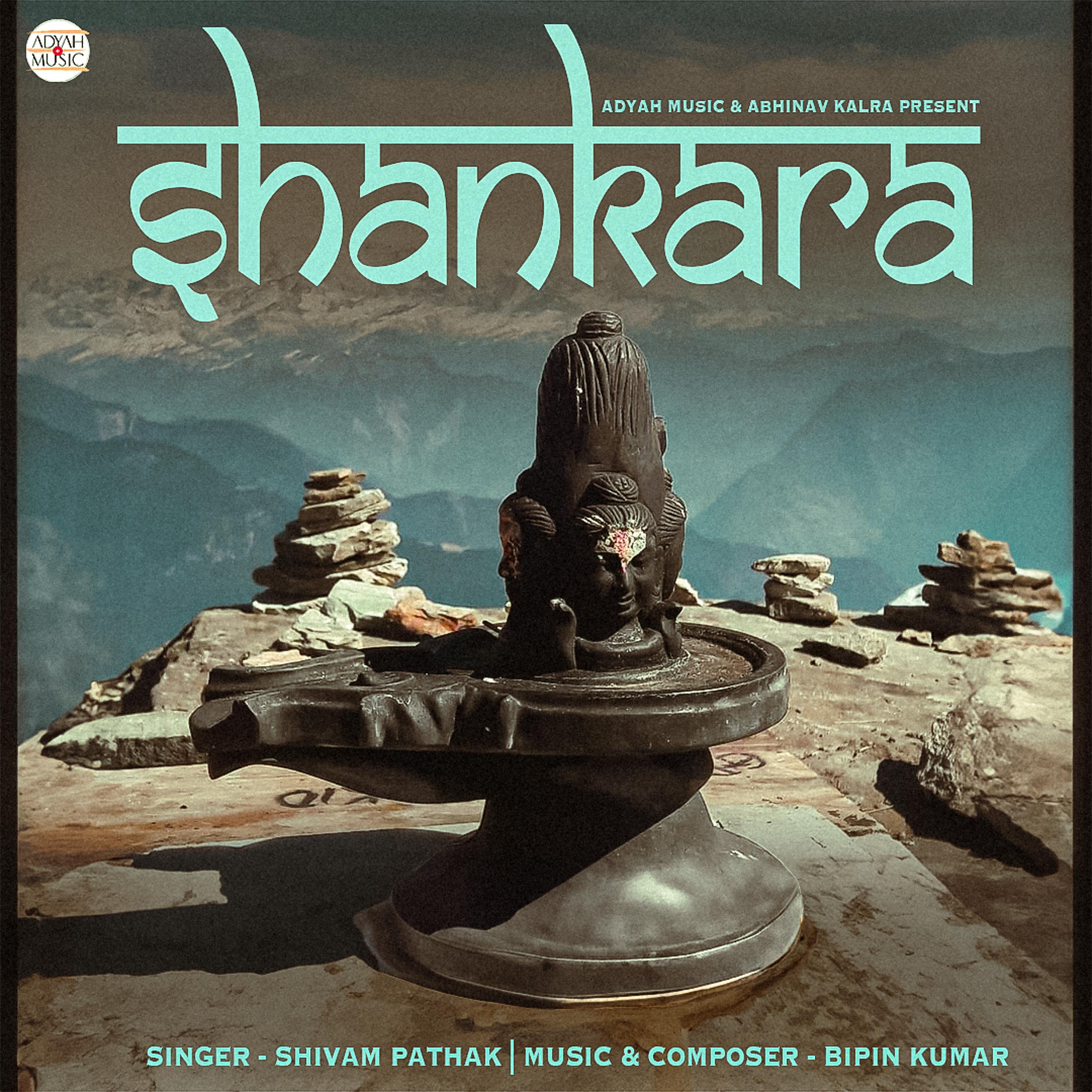 Постер альбома Shankara
