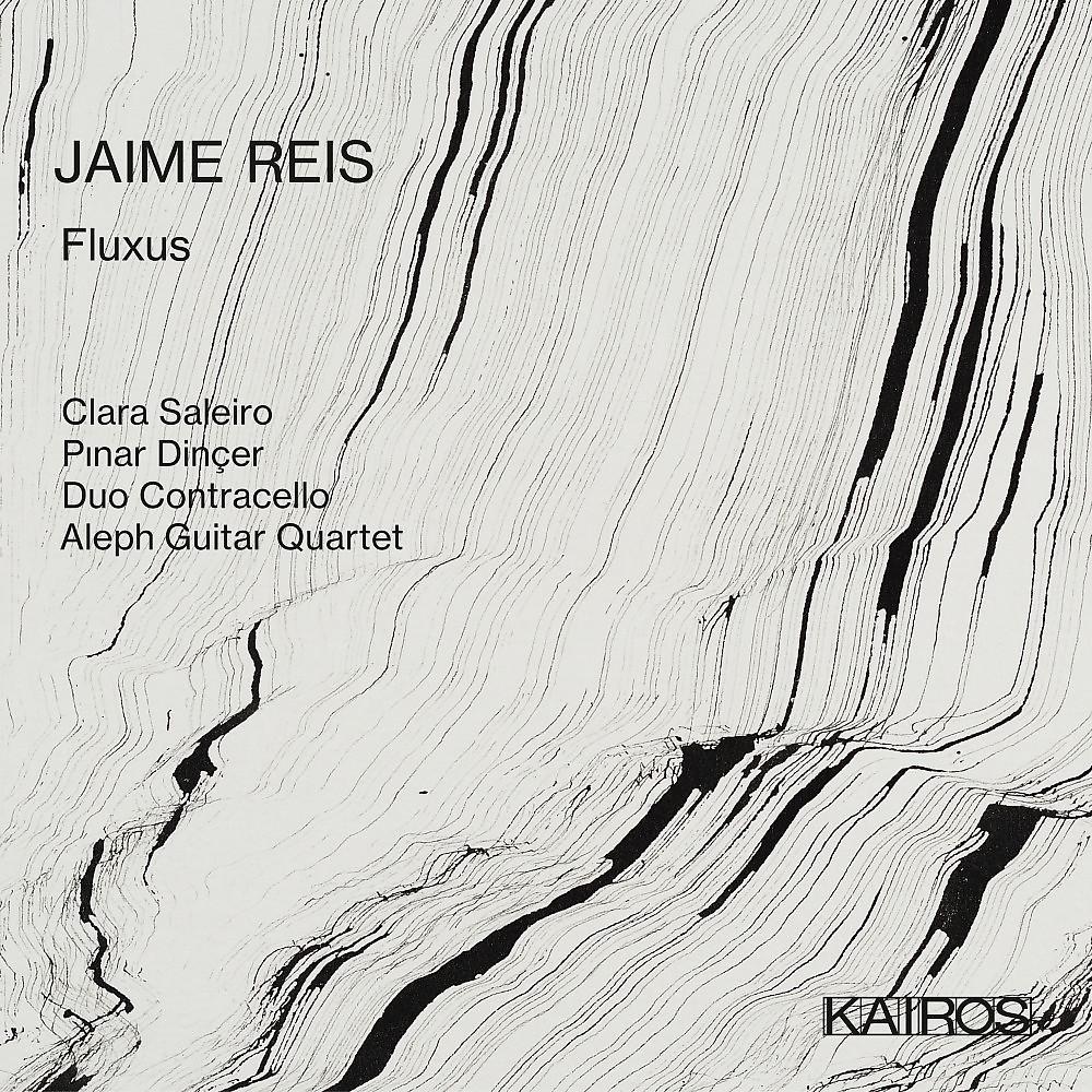 Постер альбома Jaime Reis: Fluxus