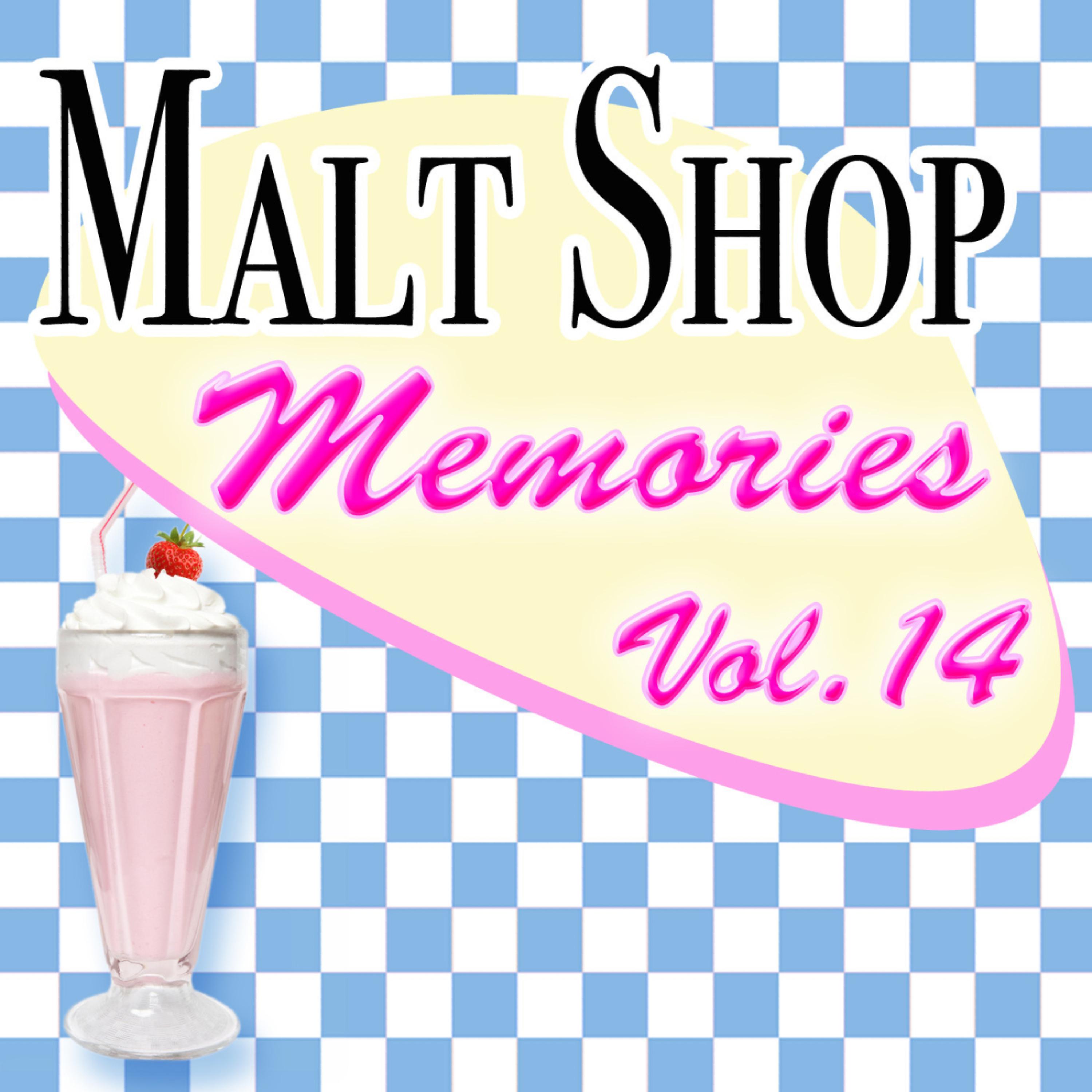 Постер альбома Malt Shop Memories Vol.14