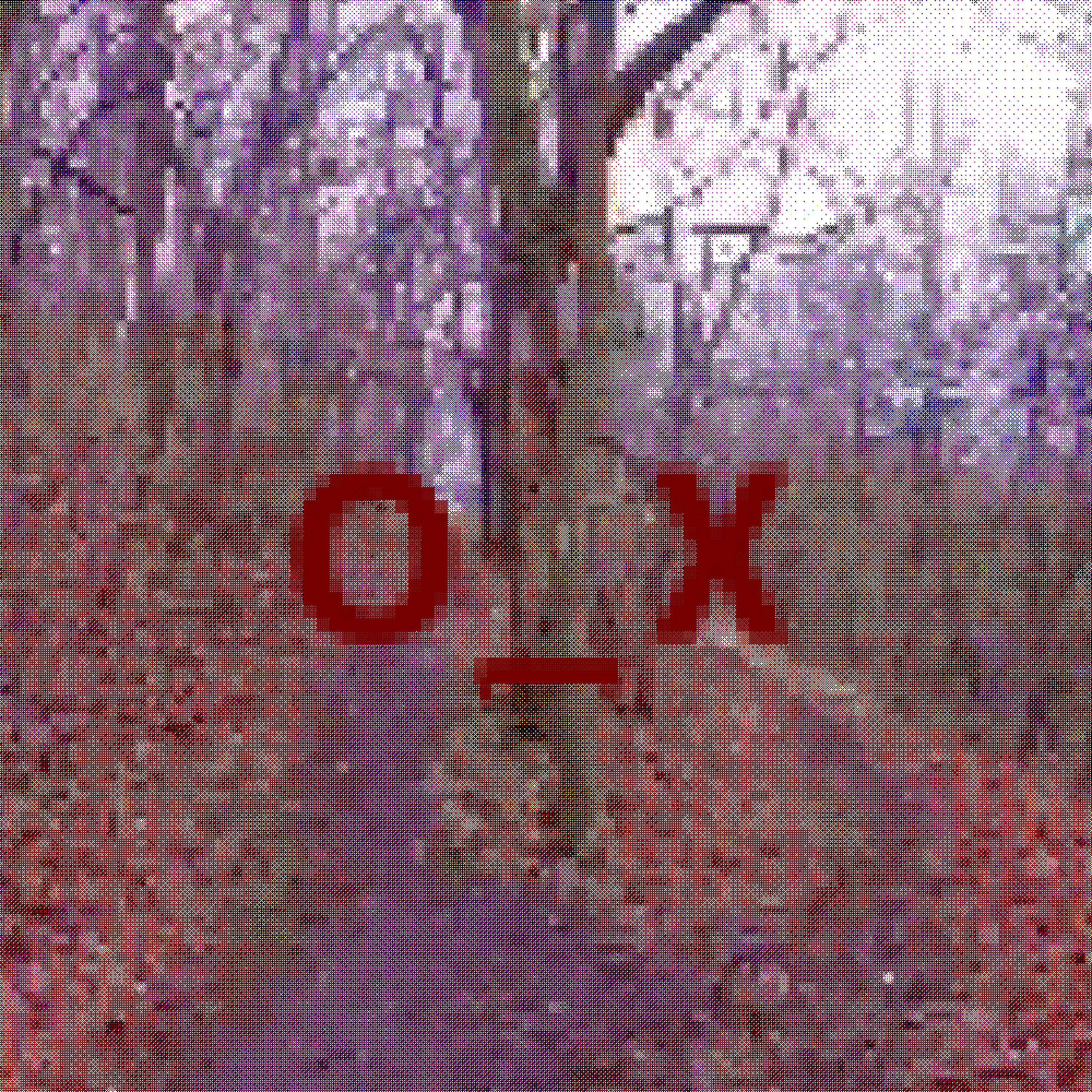Постер альбома O_x