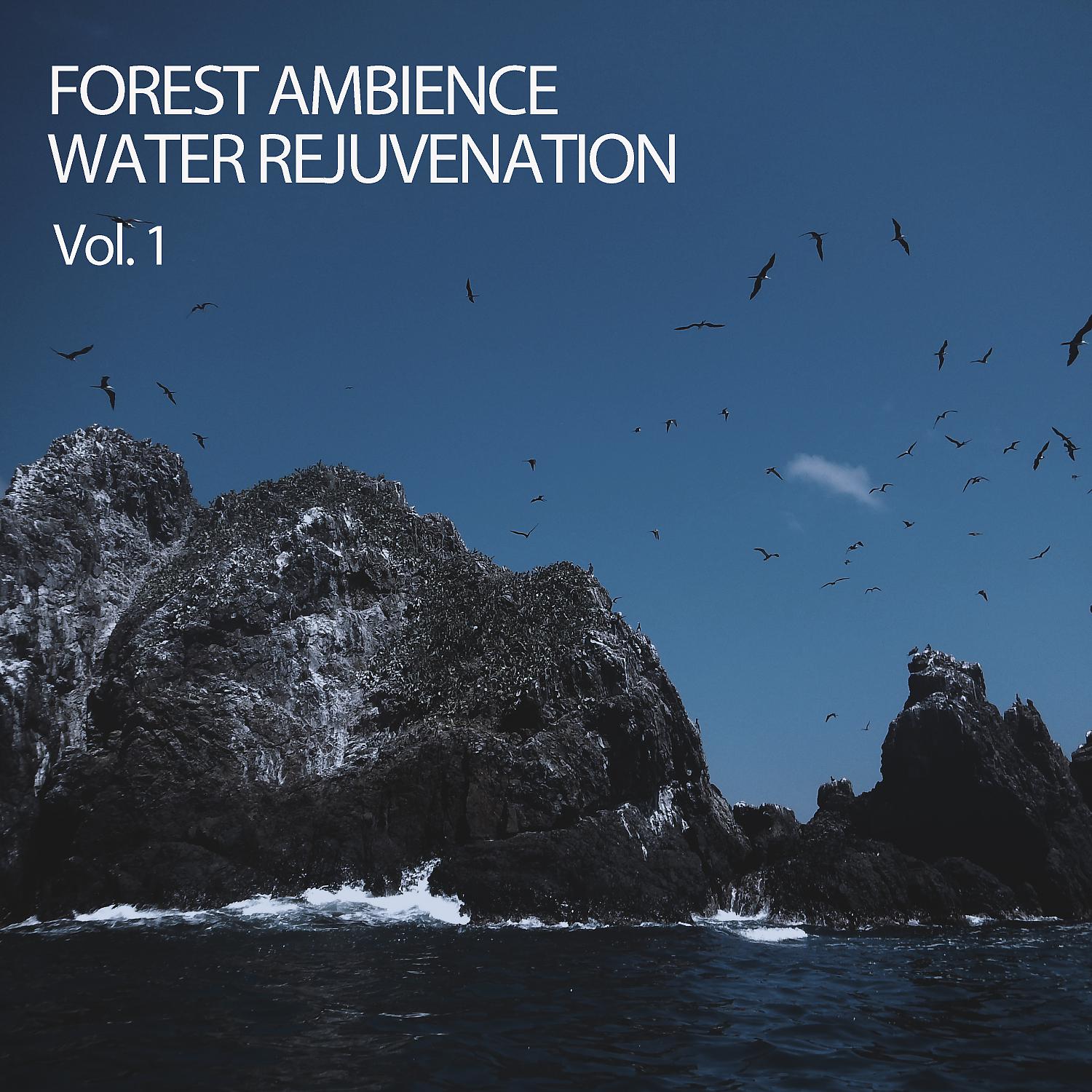 Постер альбома Forest Ambience Water Rejuvenation Vol. 1