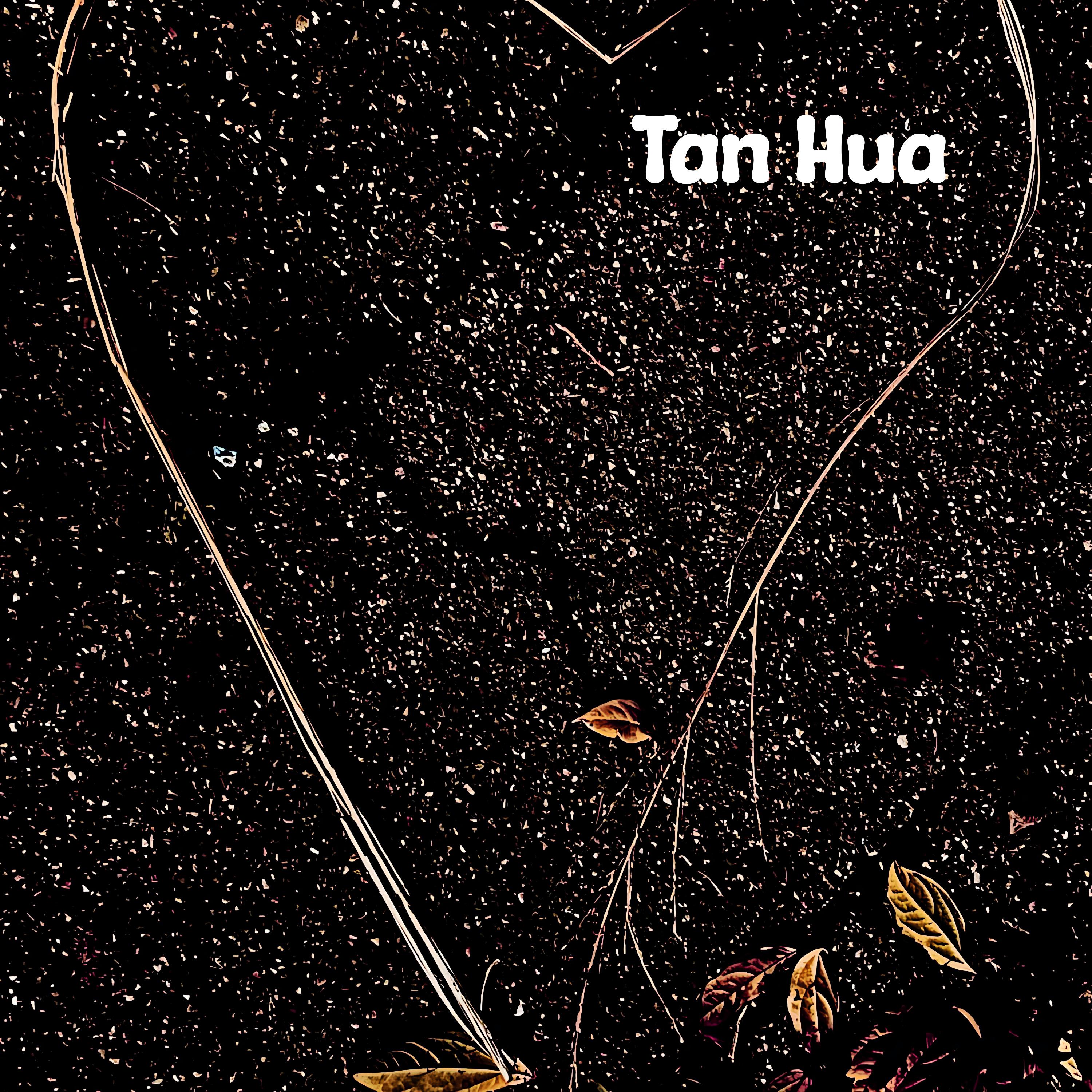 Постер альбома Tan Hua