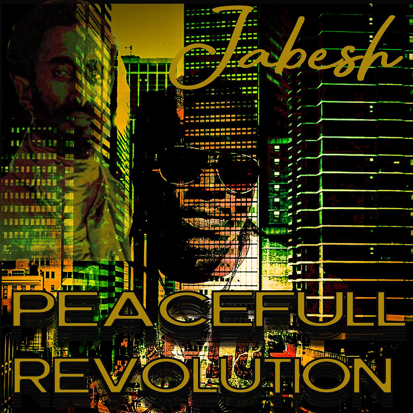 Постер альбома Peacefull Revolution