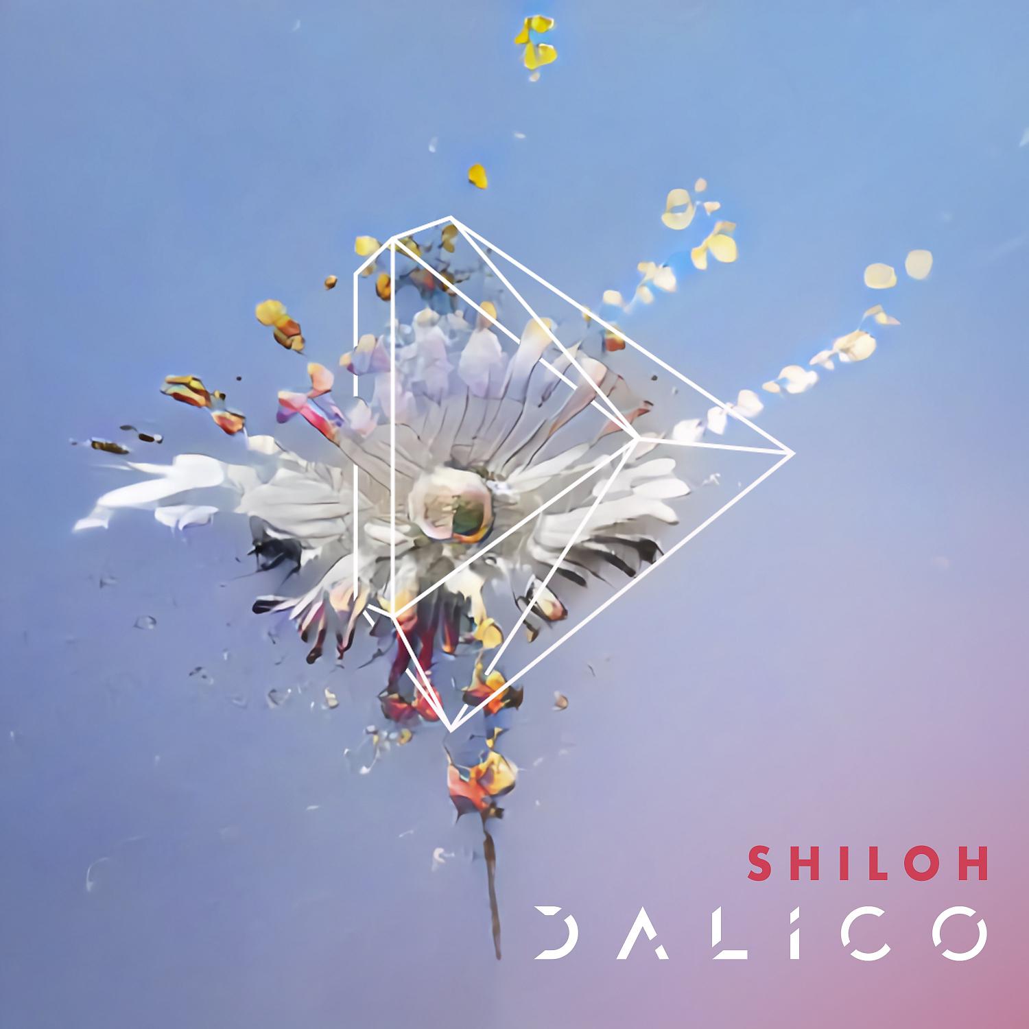 Постер альбома Shiloh