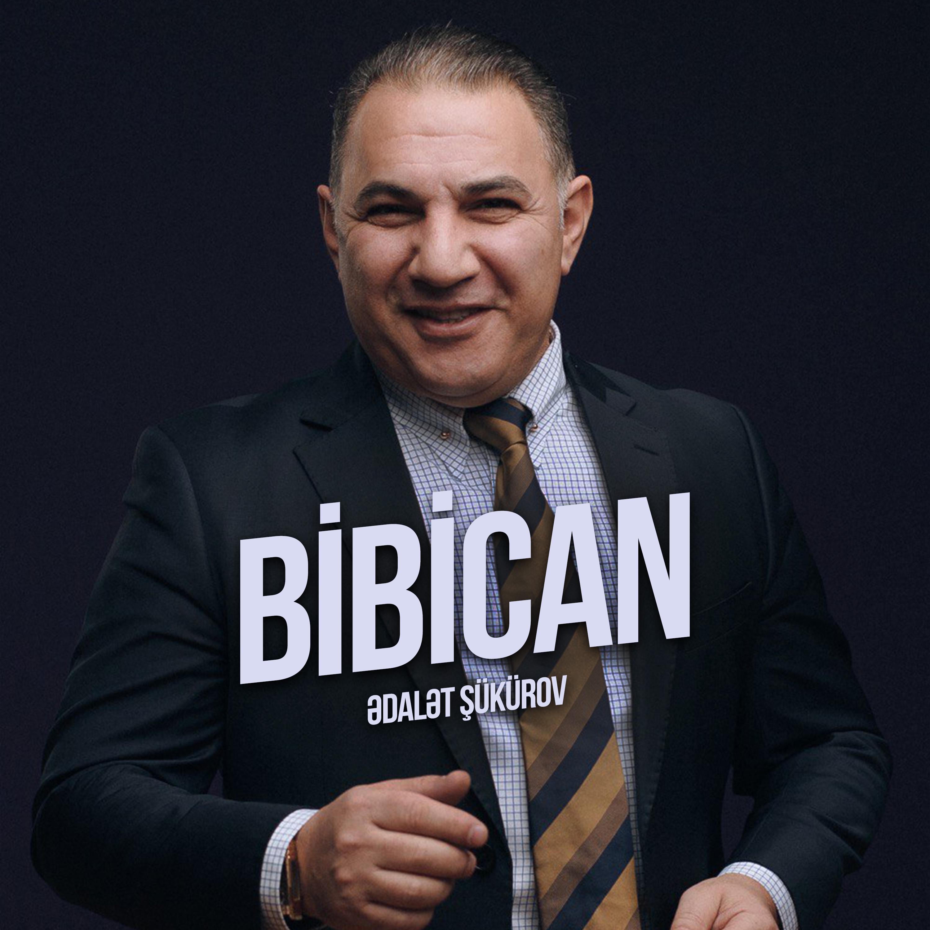 Постер альбома Bibican
