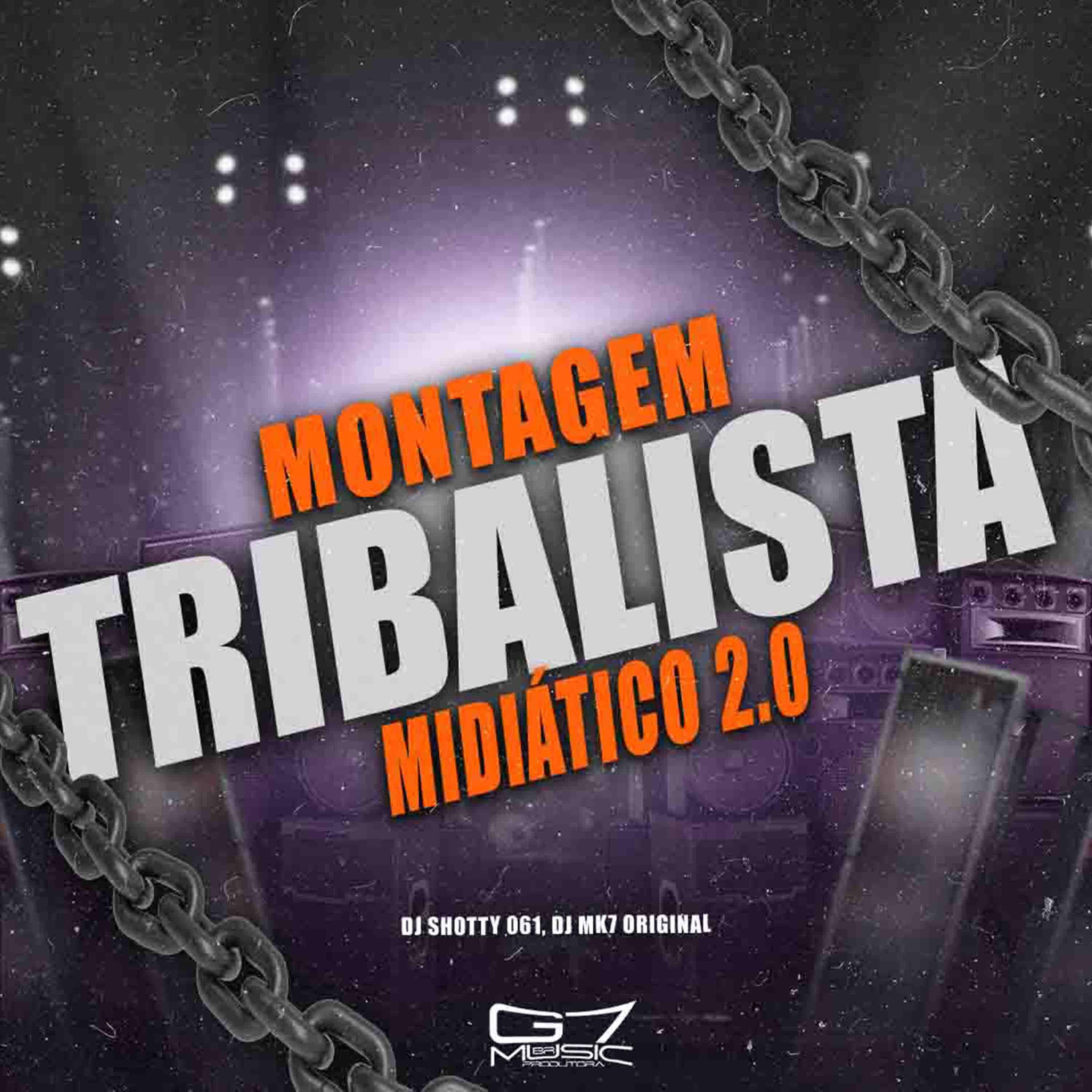 Постер альбома Montagem Tribalista Midiático 2.0