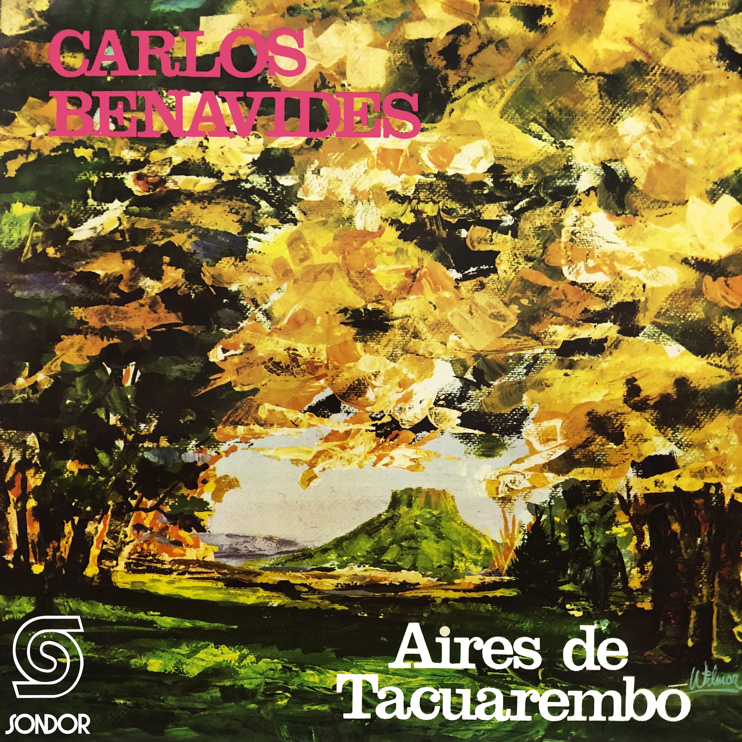 Постер альбома Aires de Tacuarembo