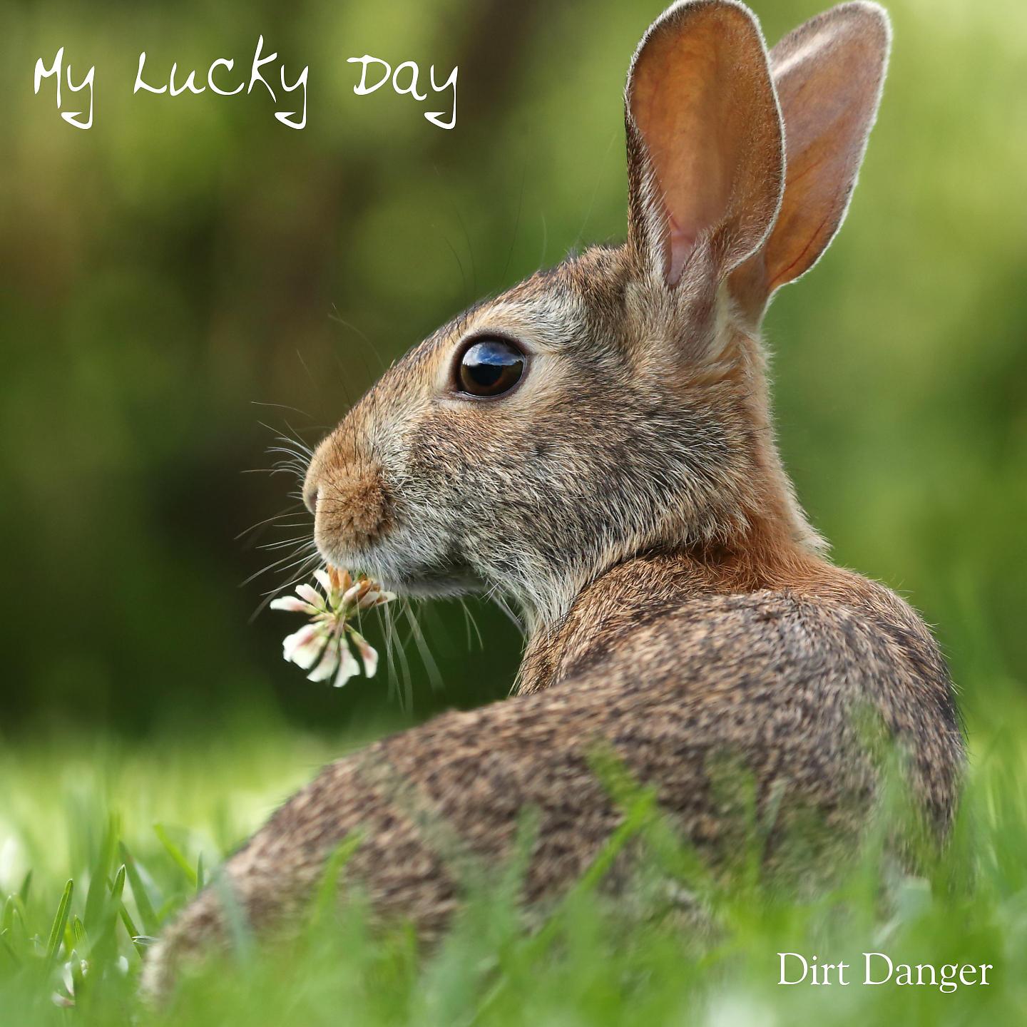 Постер альбома My Lucky Day