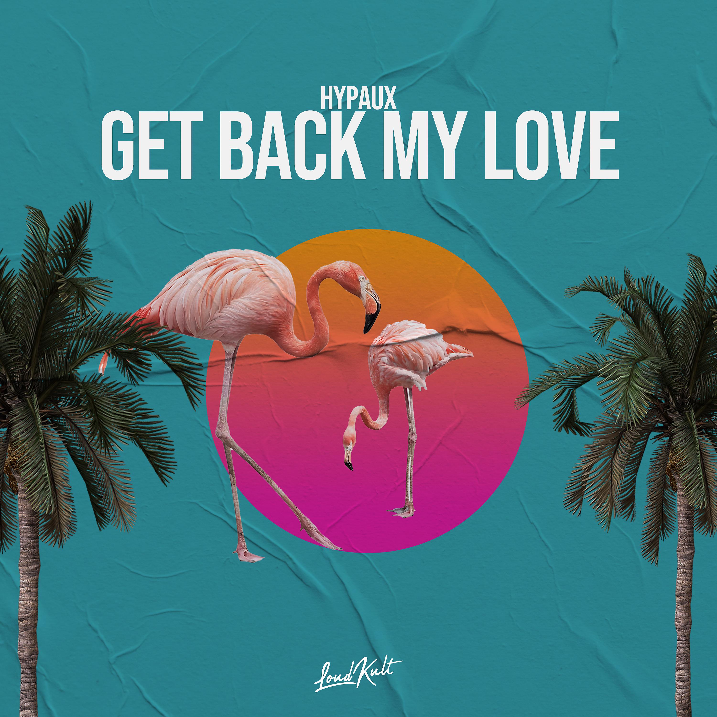 Постер альбома Get Back My Love