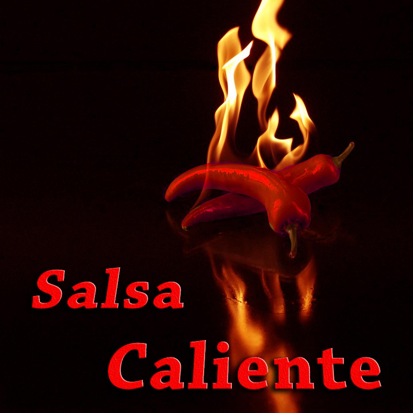 Постер альбома Salsa Caliente (Musica para Bailar)