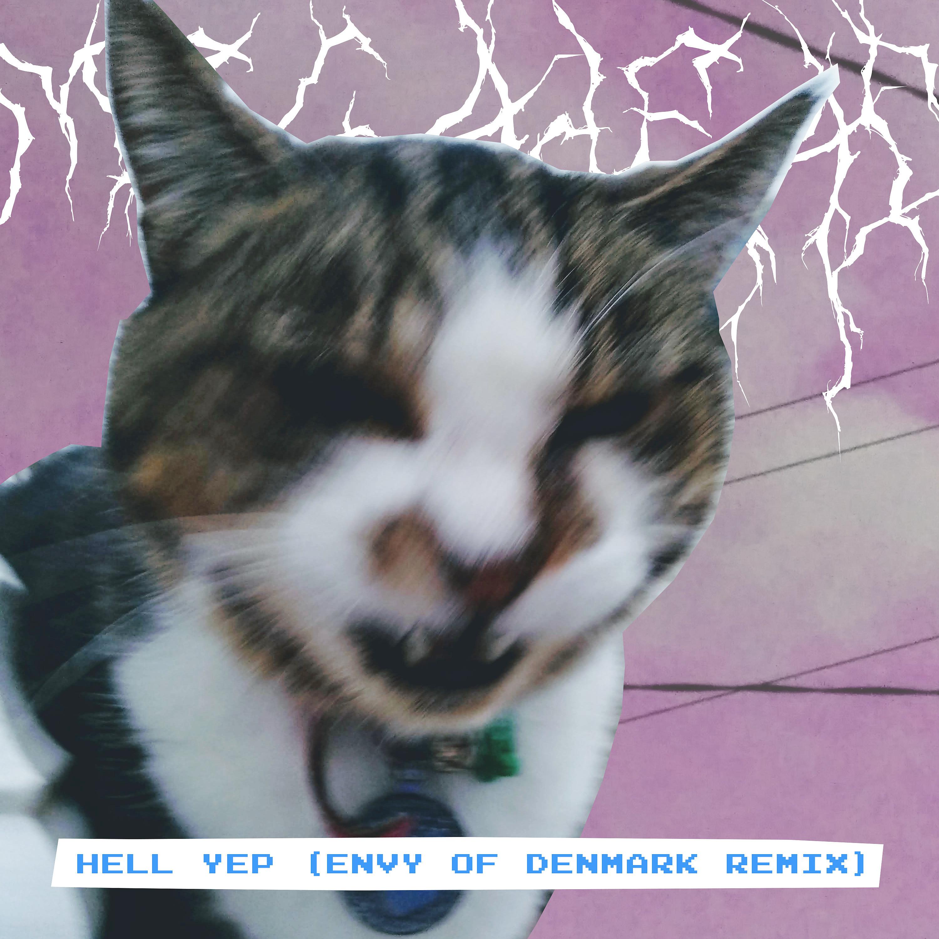 Постер альбома HELL YEP (Envy of Denmark Remix)