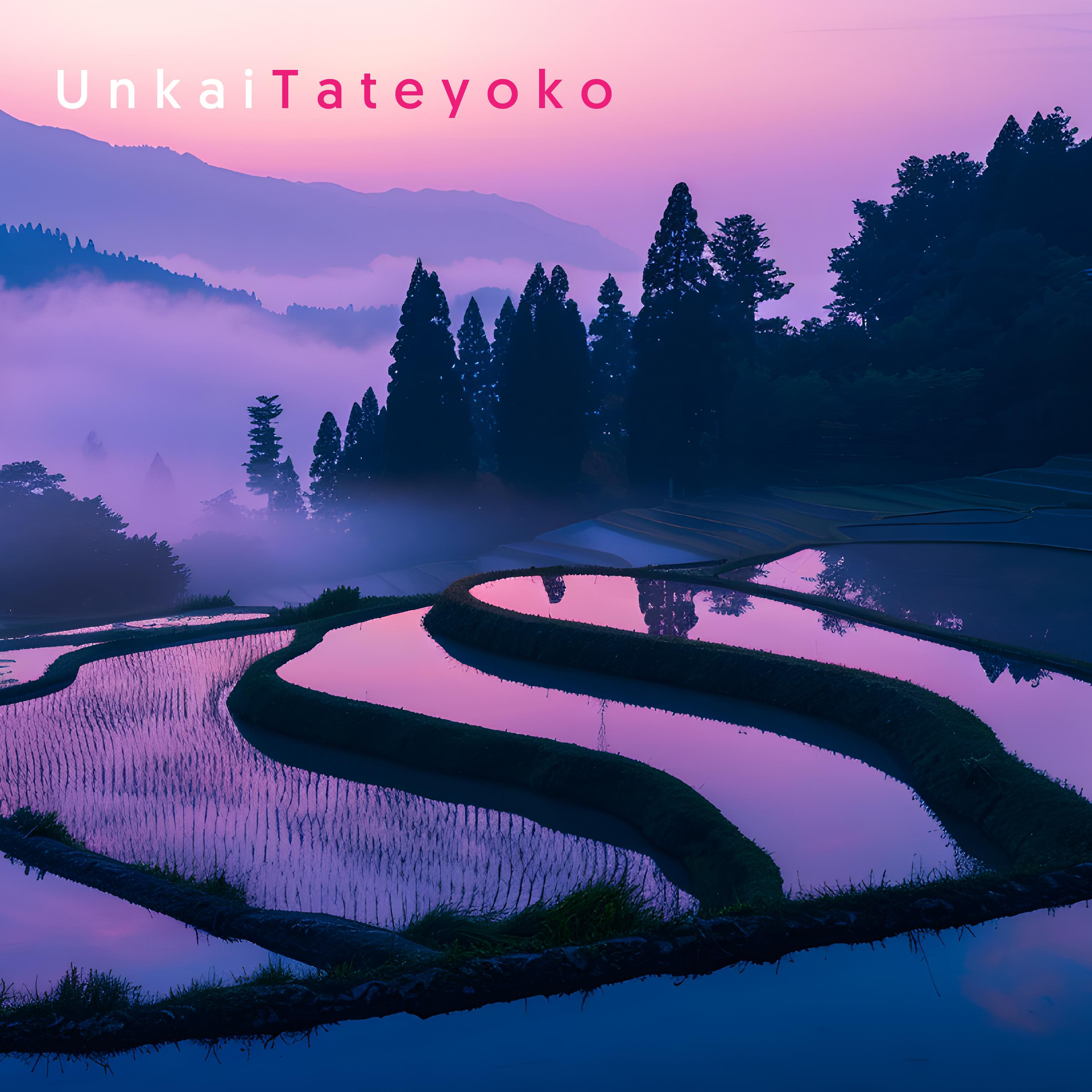 Постер альбома Tateyoko