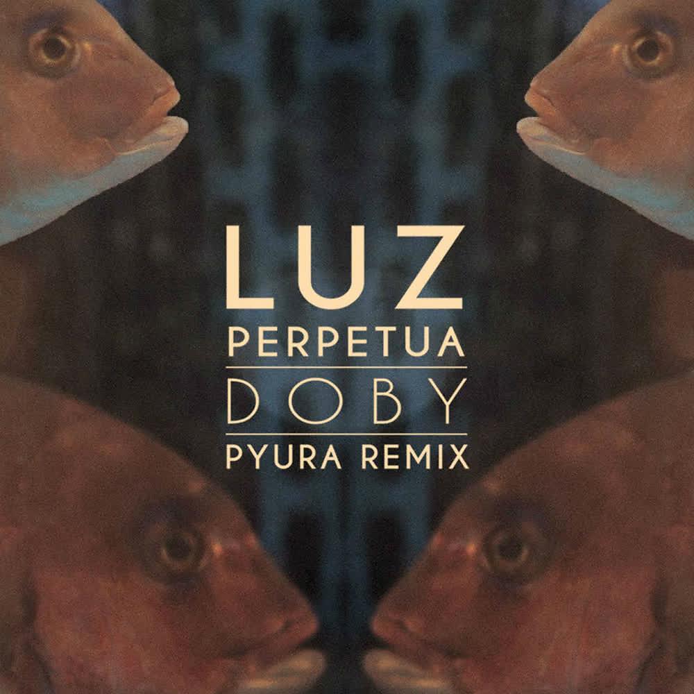 Постер альбома Luz Perpetua (Pyura Remix)