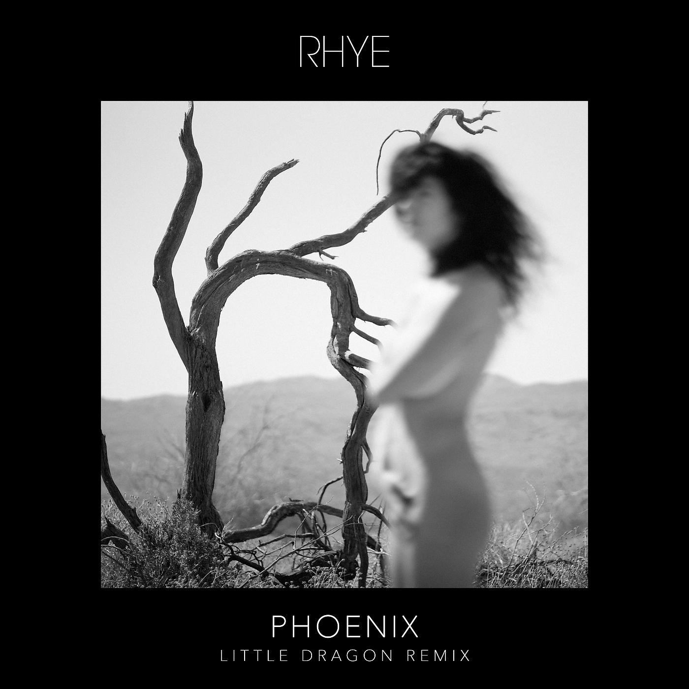 Постер альбома Phoenix