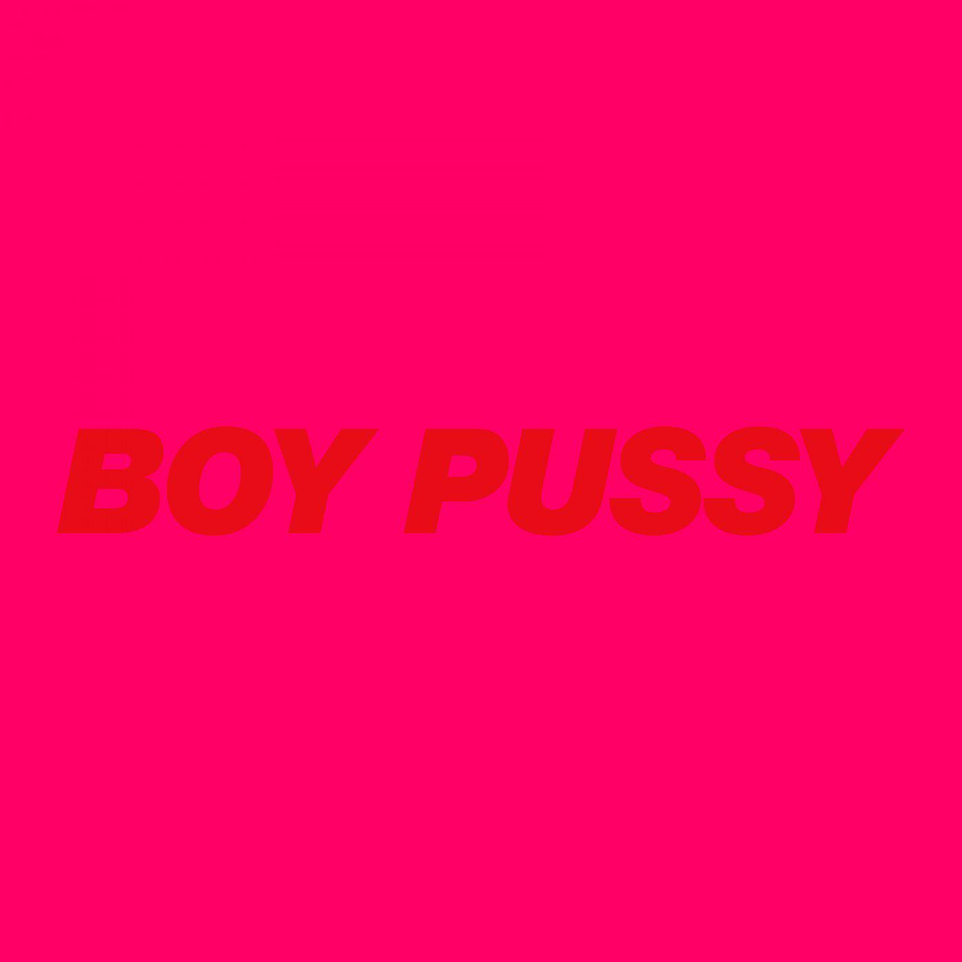 Постер альбома Boy Pussy