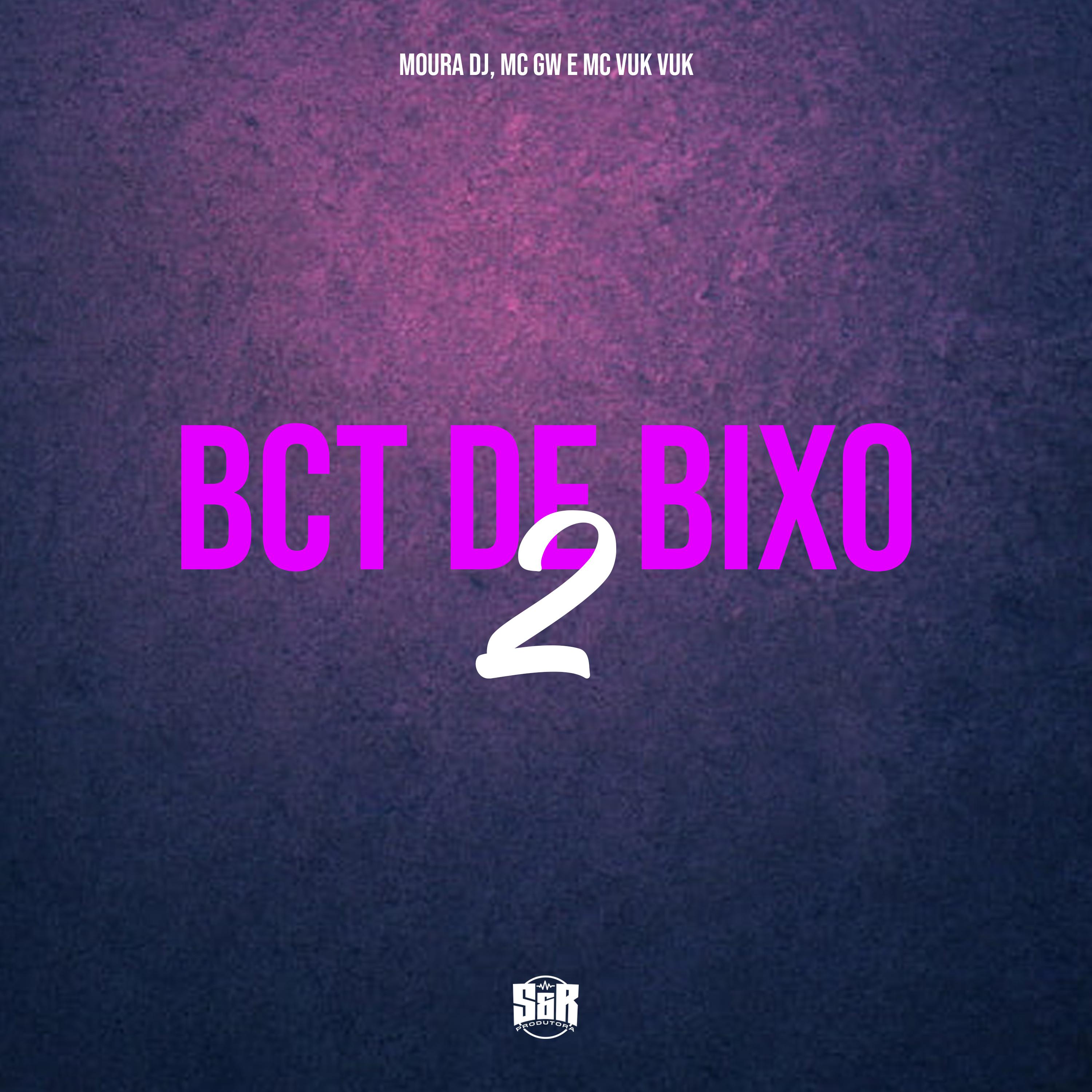 Постер альбома Bct de Bixo 2