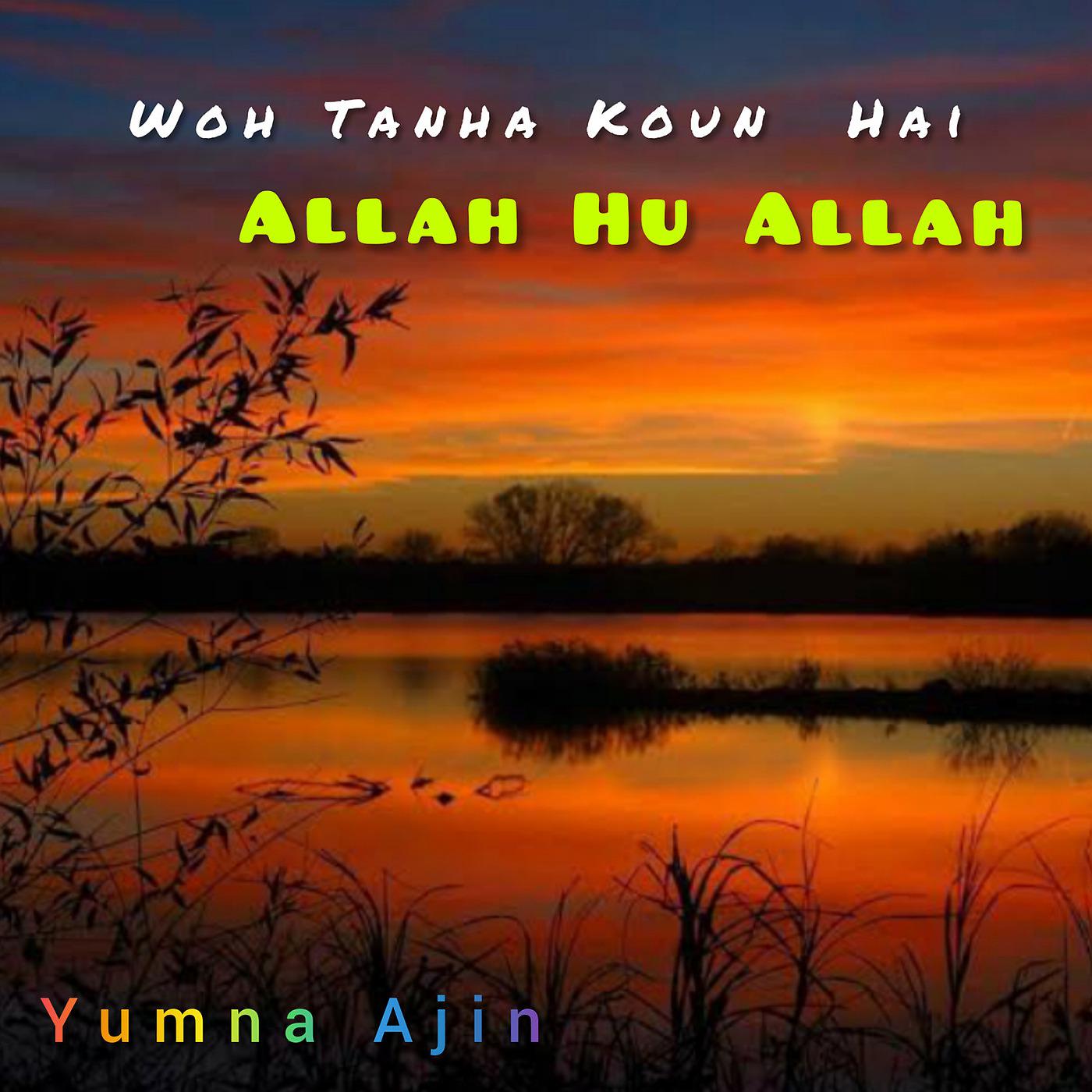 Постер альбома Woh Tanha Koun Hai Allah Hu Allah