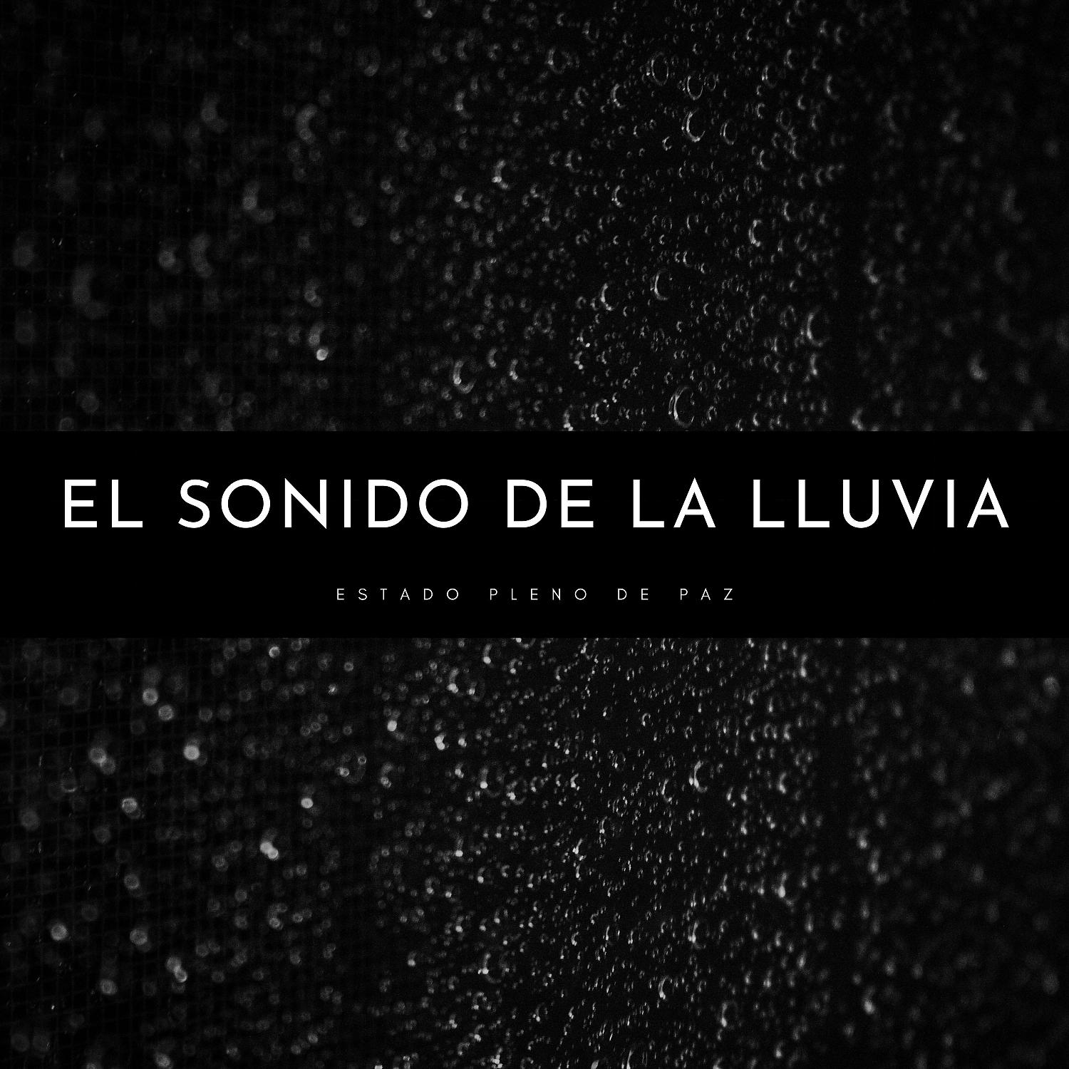 Постер альбома El Sonido De La Lluvia: Estado Pleno De Paz