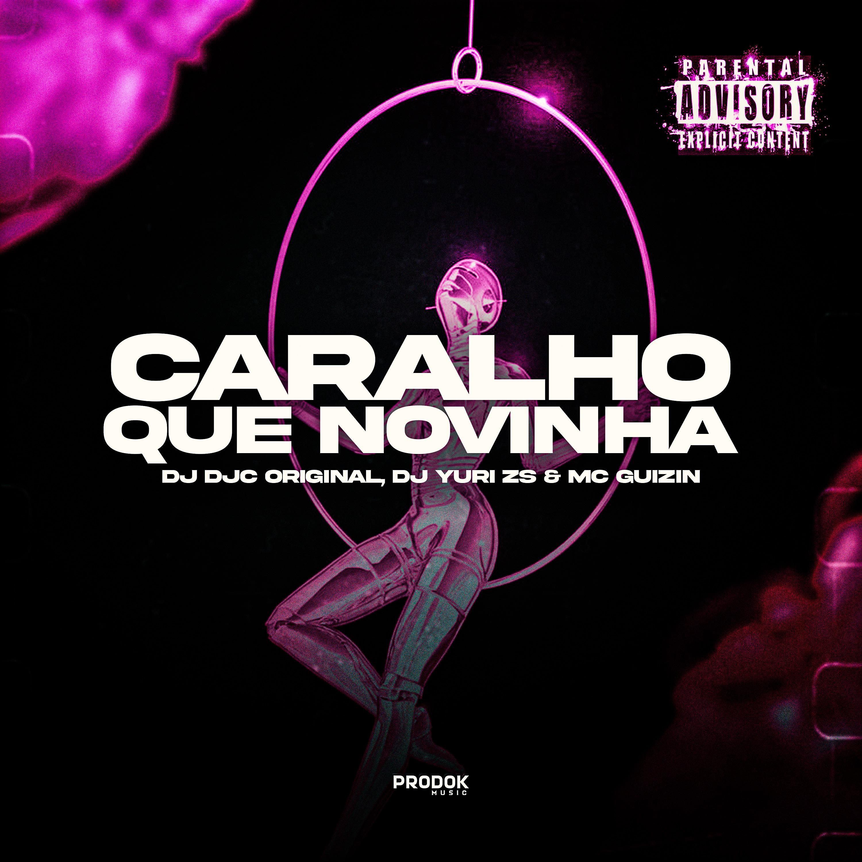 Постер альбома Caralho que Novinha